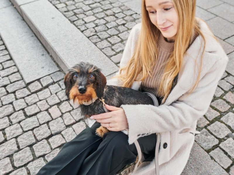 Die besten Wege, um Erinnerungen an dein Haustier festzuhalten