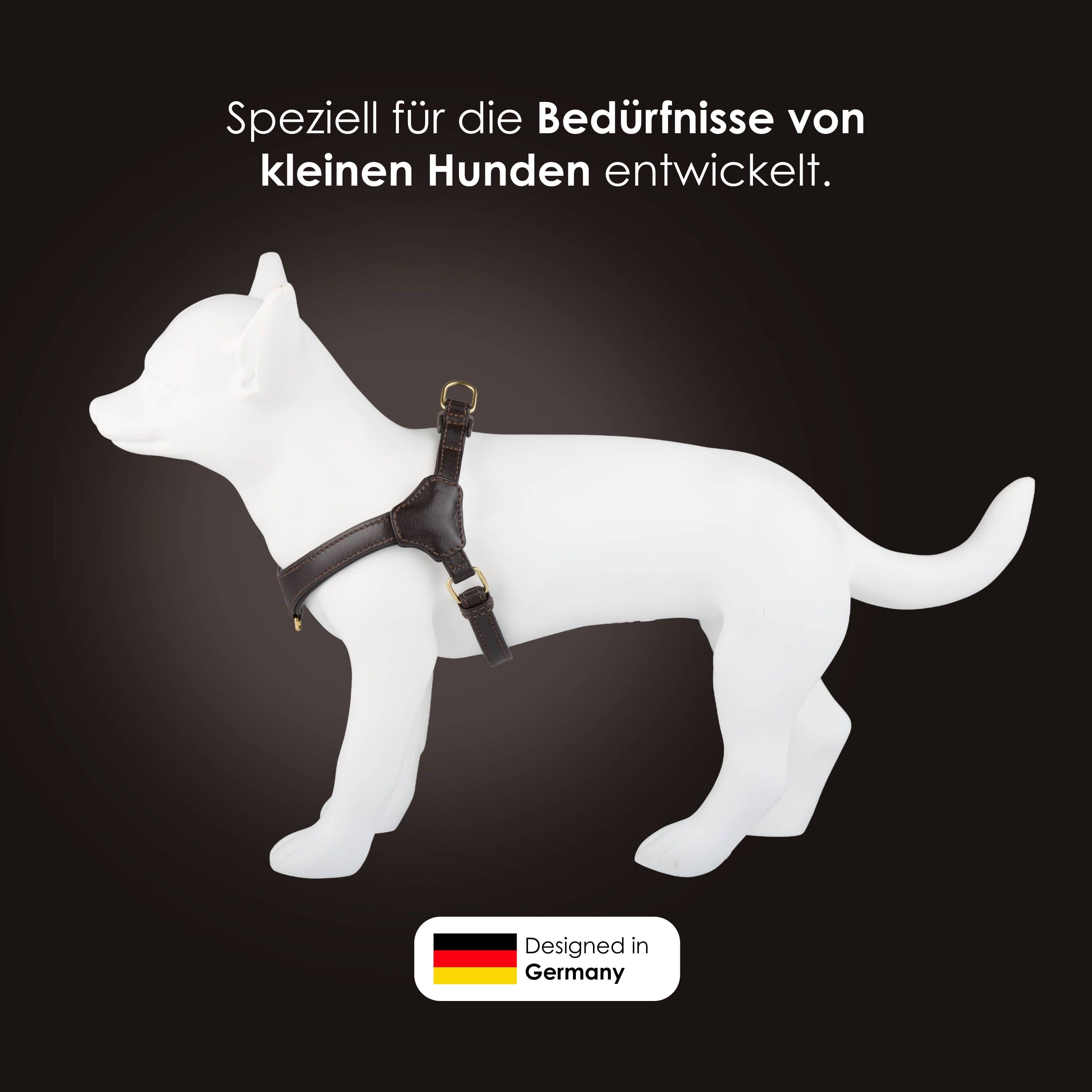 William Walker Step-In Leder Geschirr Pico für kleine Hunde