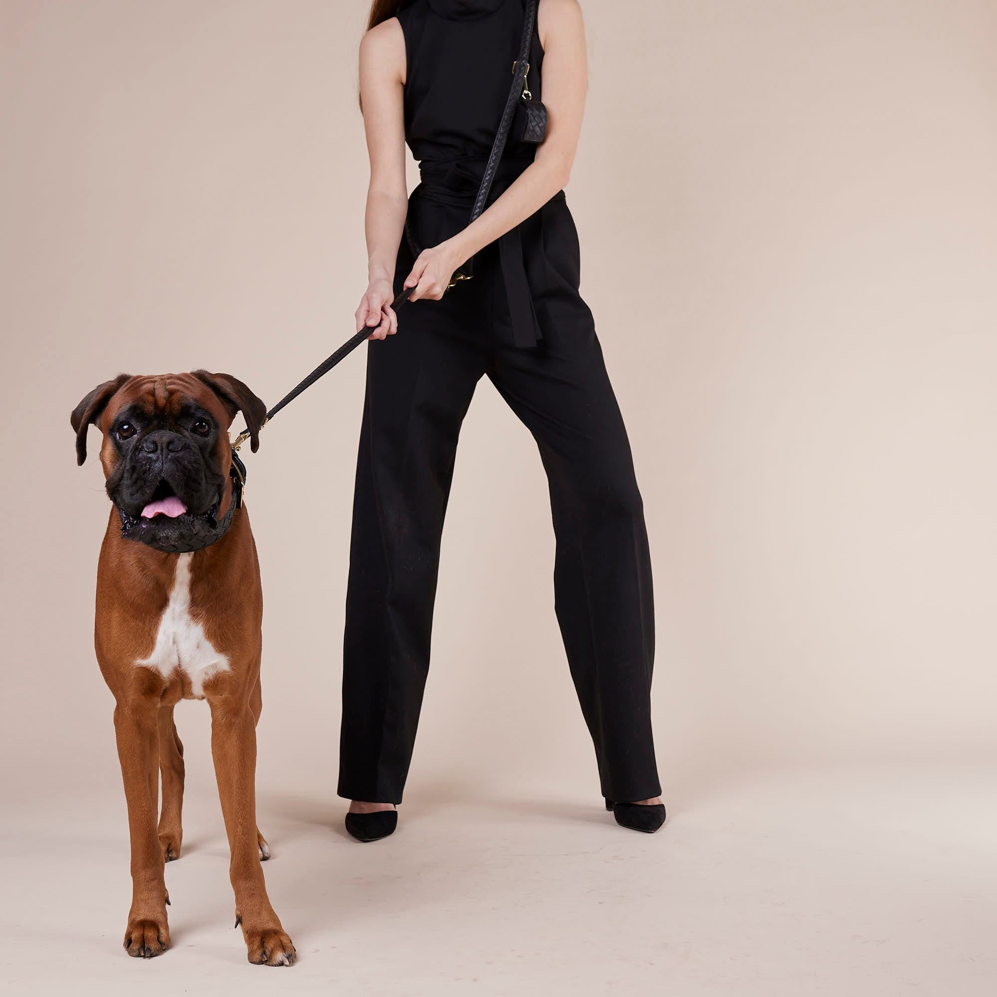 William Walker Hochwertige Leder Hundeleine Prestige Nero (Schwarz)