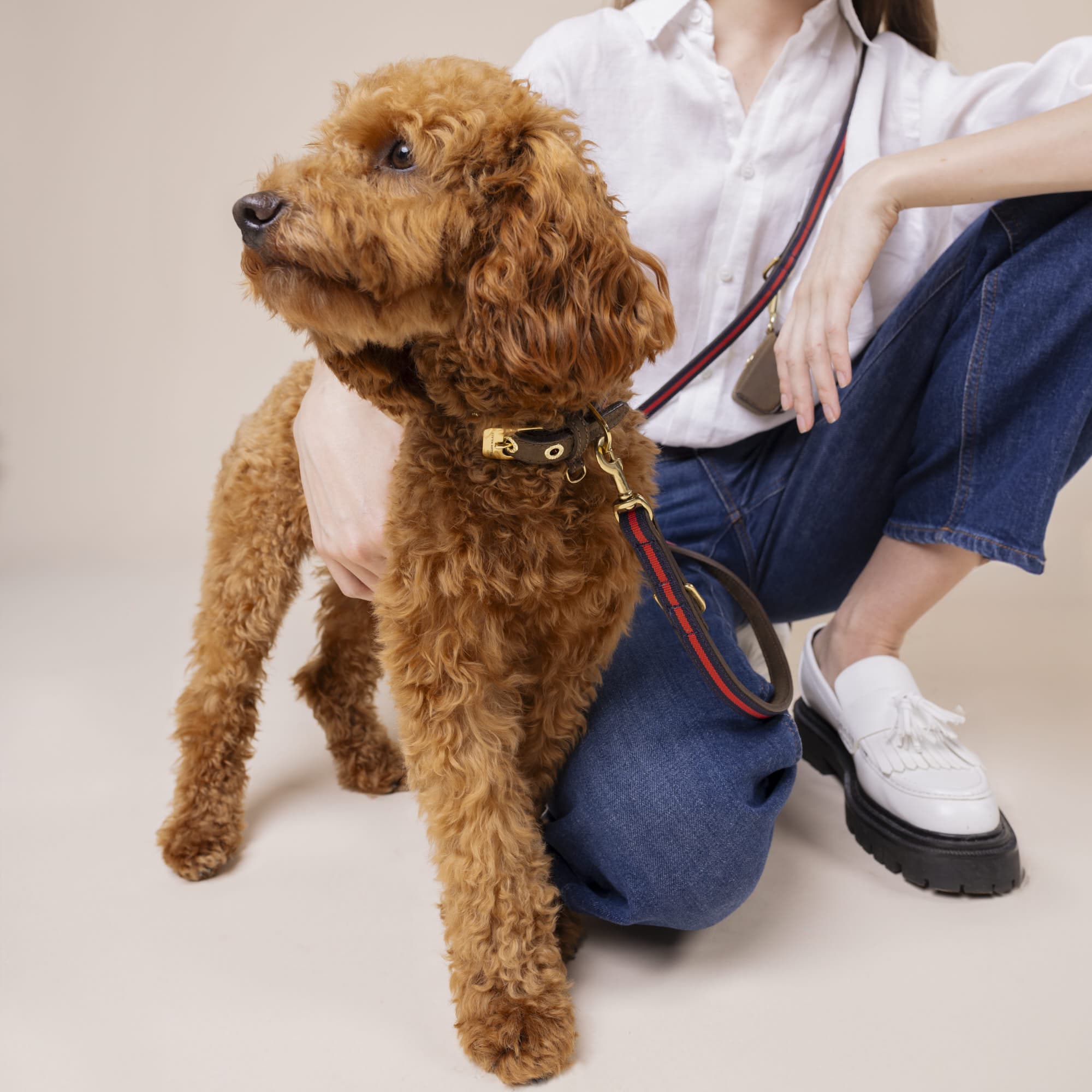 William Walker Imperial Bundle