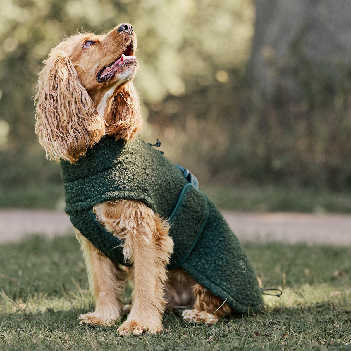 William Walker Gemütlicher Fleece Hundemantel Cozy