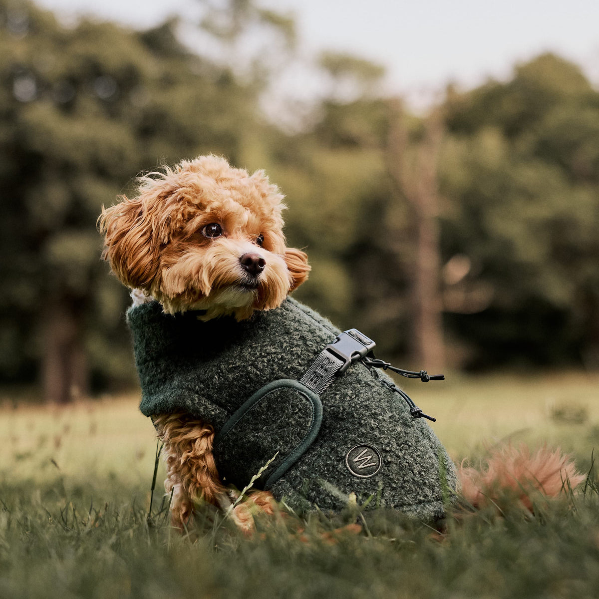William Walker Gemütlicher Fleece Hundemantel Cozy
