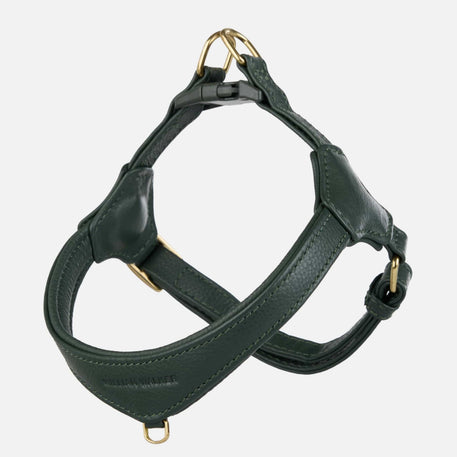 William Walker Arnés de Cuero Step-In Pico para Perros Pequeños Dark Moss / 1