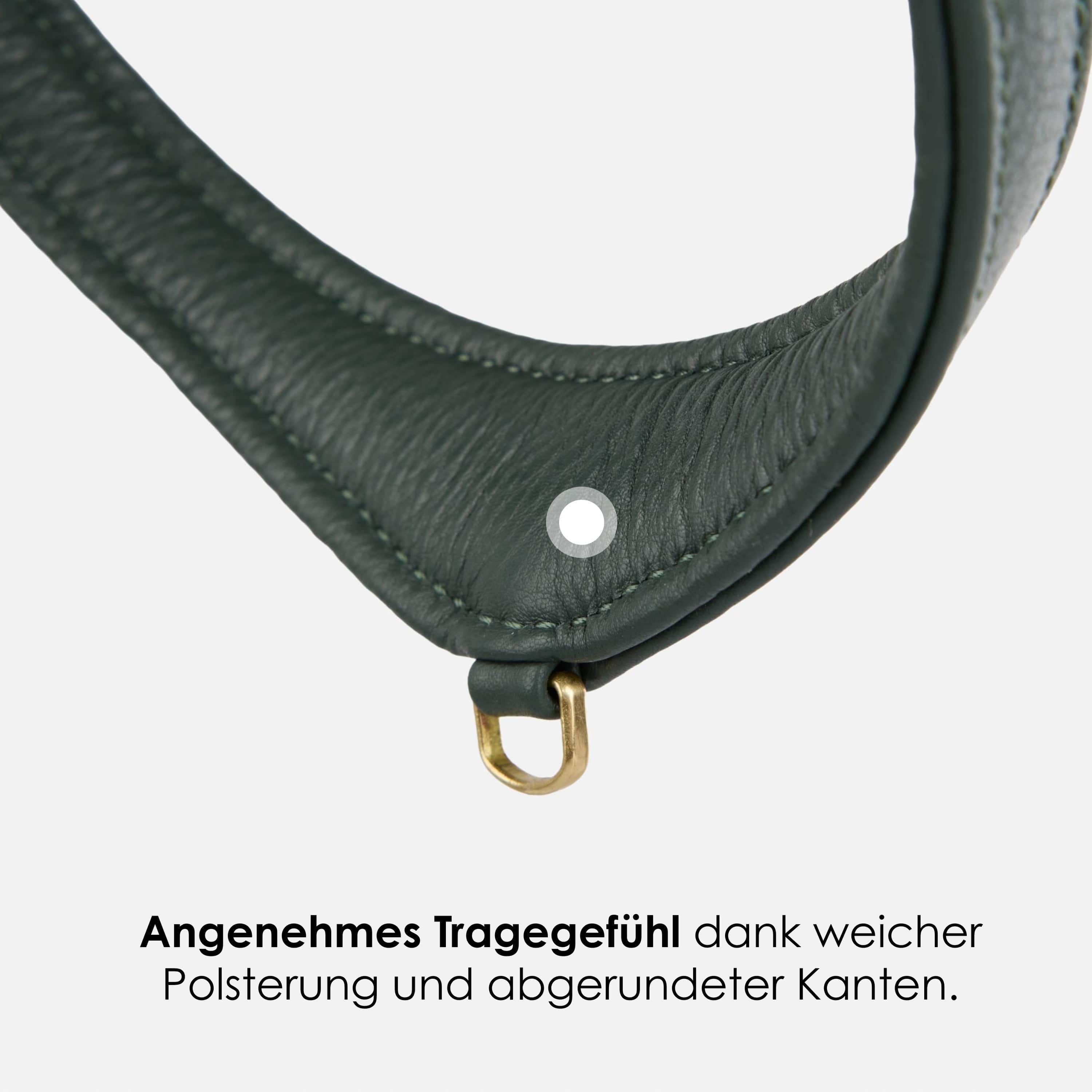 William Walker Step-In Leder Geschirr Pico für kleine Hunde