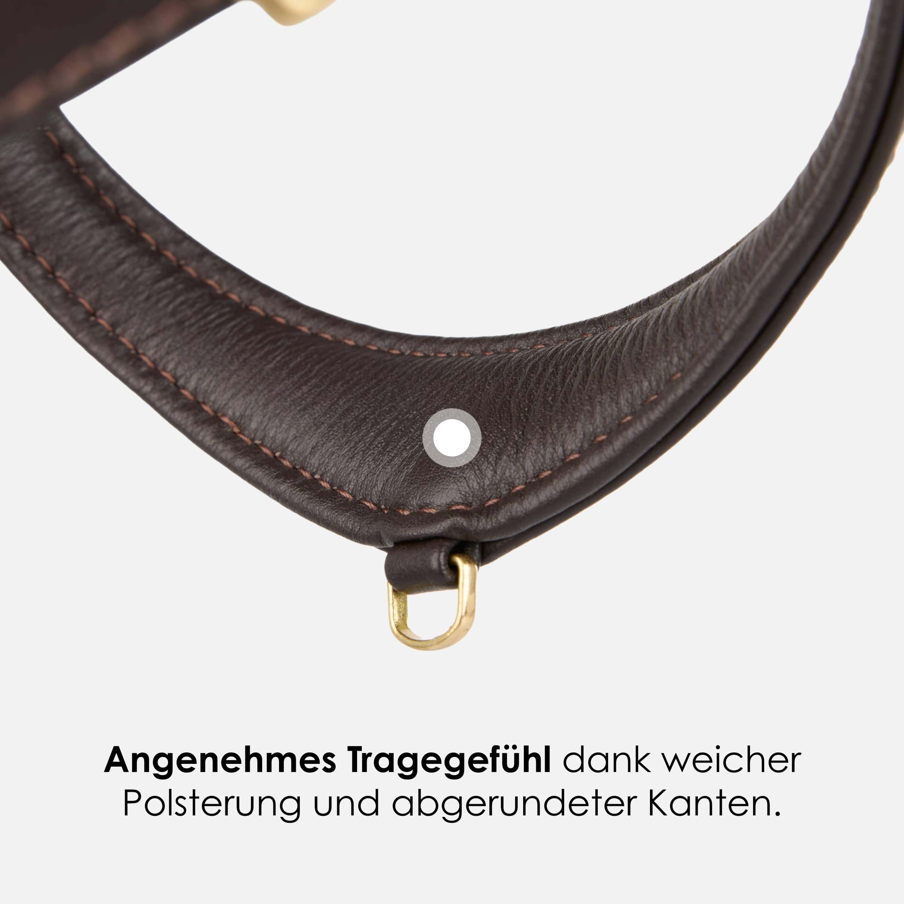 William Walker Step-In Leder Geschirr Pico für kleine Hunde