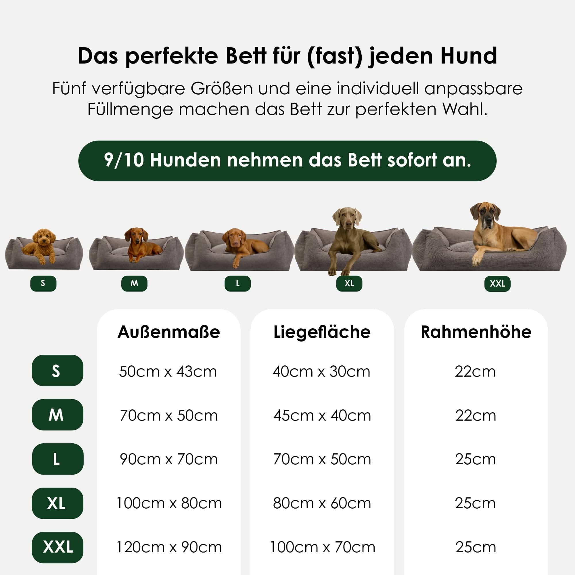 William Walker Orthopädisches Hundebett Plain