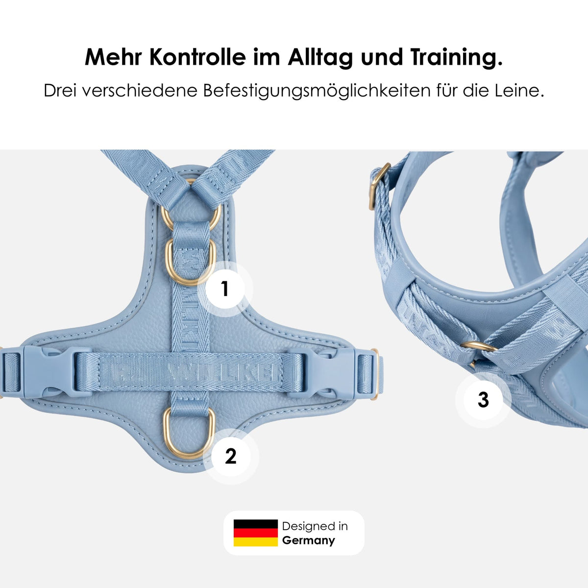 William Walker Hochwertiges Leder Y-Hundegeschirr Plain