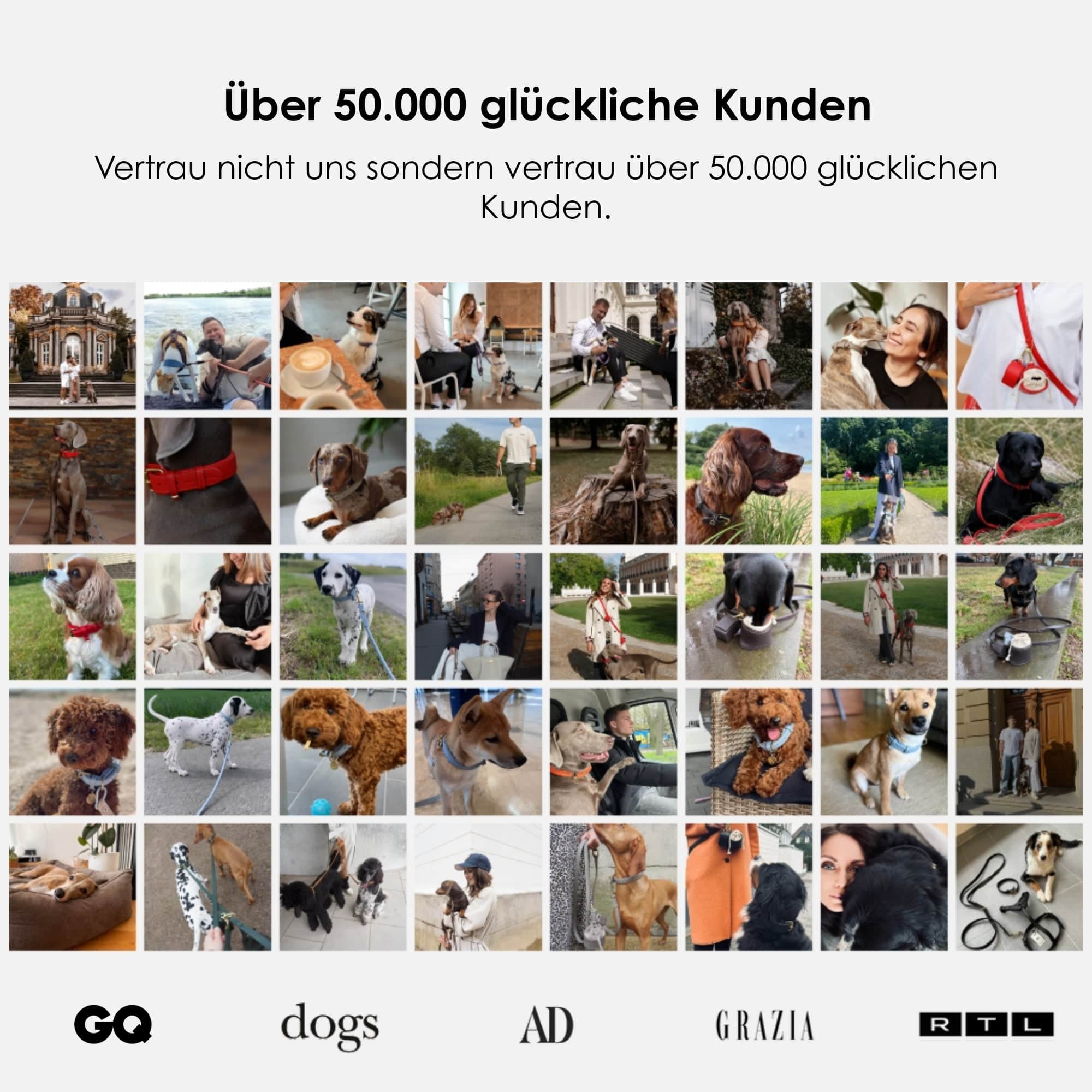 William Walker Hochwertige Leder Hundeleine Sky (Baby-Blau)