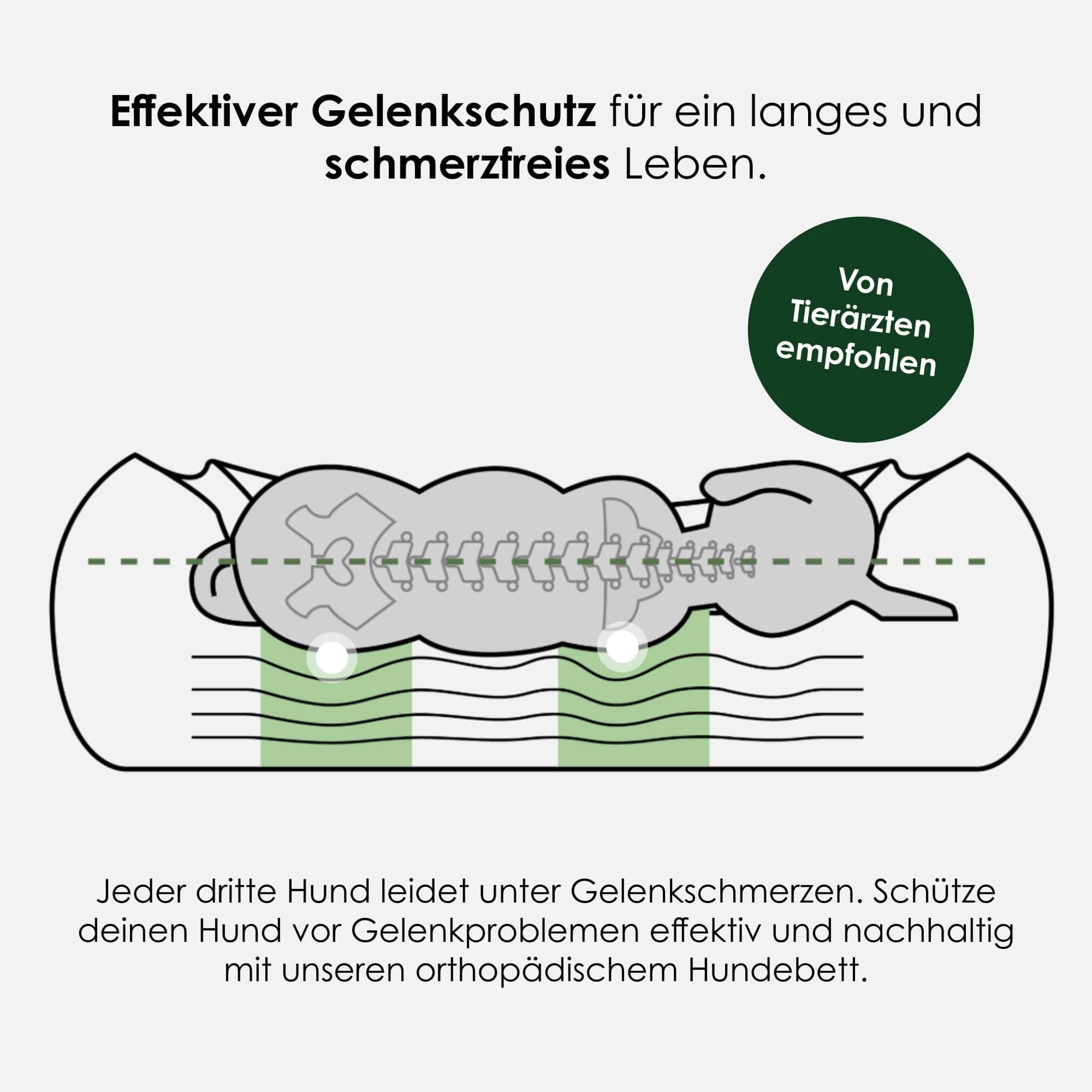 William Walker Sleep Bundle