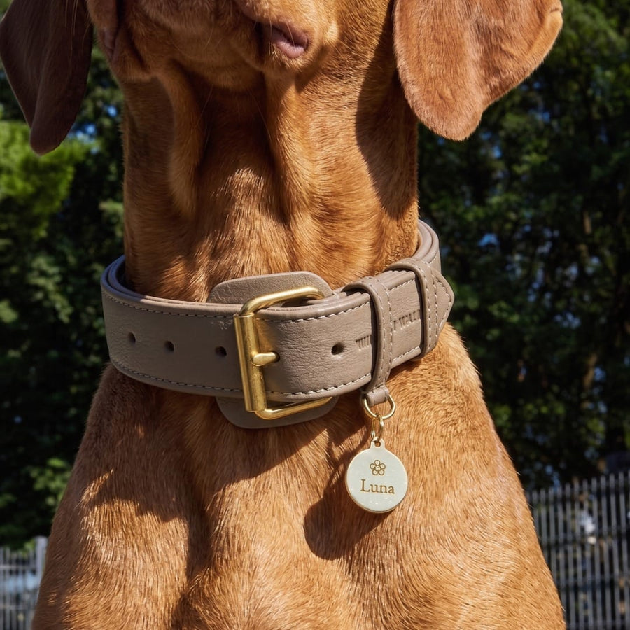 Personalized Round Brass Dog Tag