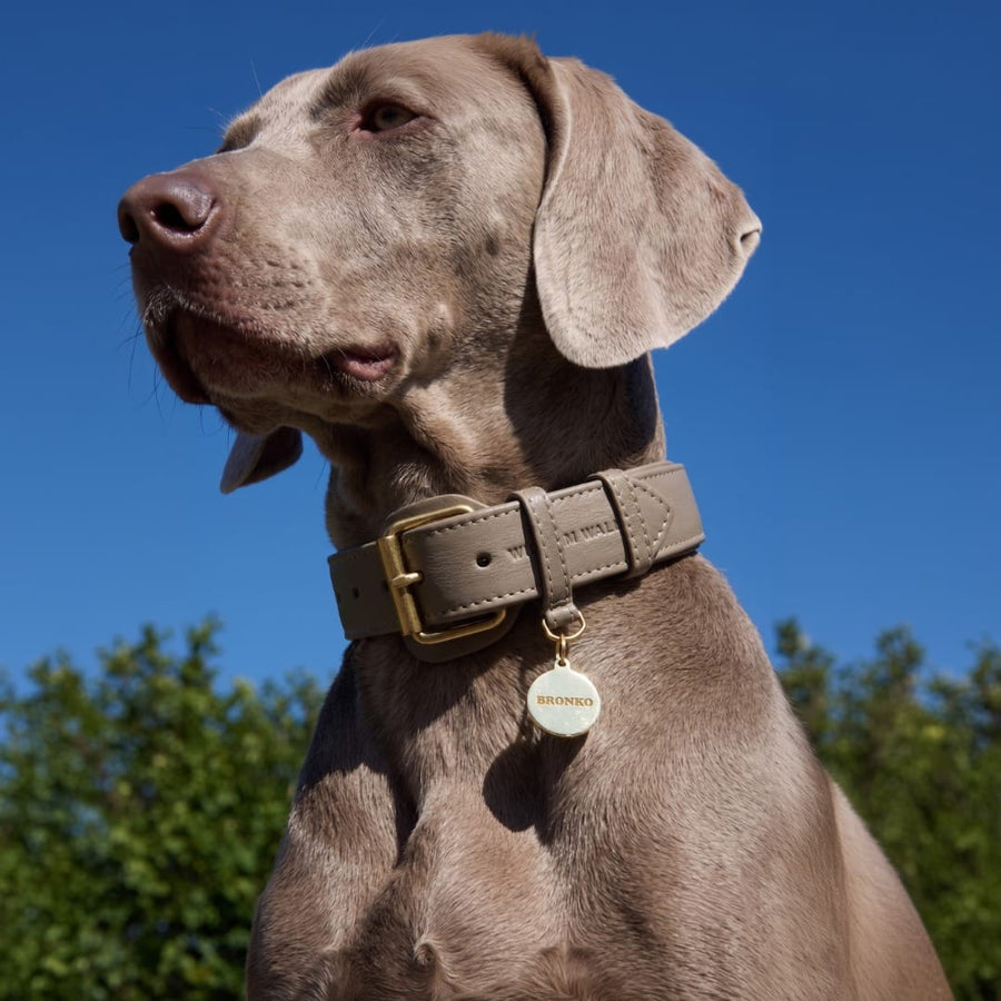 Personalized Round Brass Dog Tag