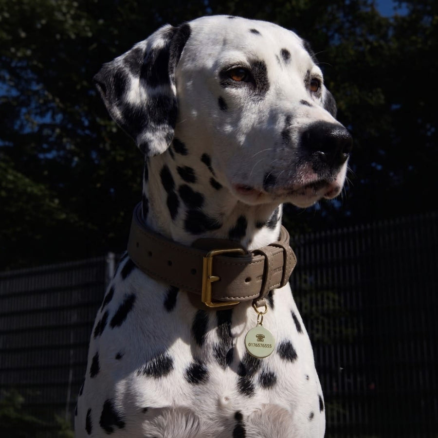 Personalized Round Brass Dog Tag