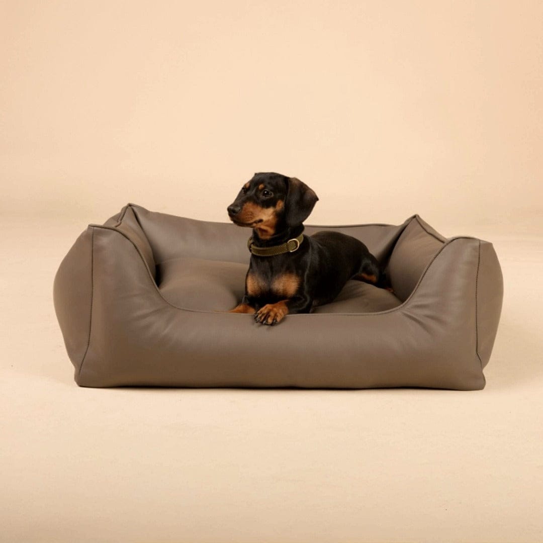 William Walker Orthopädisches Hundebett Easy