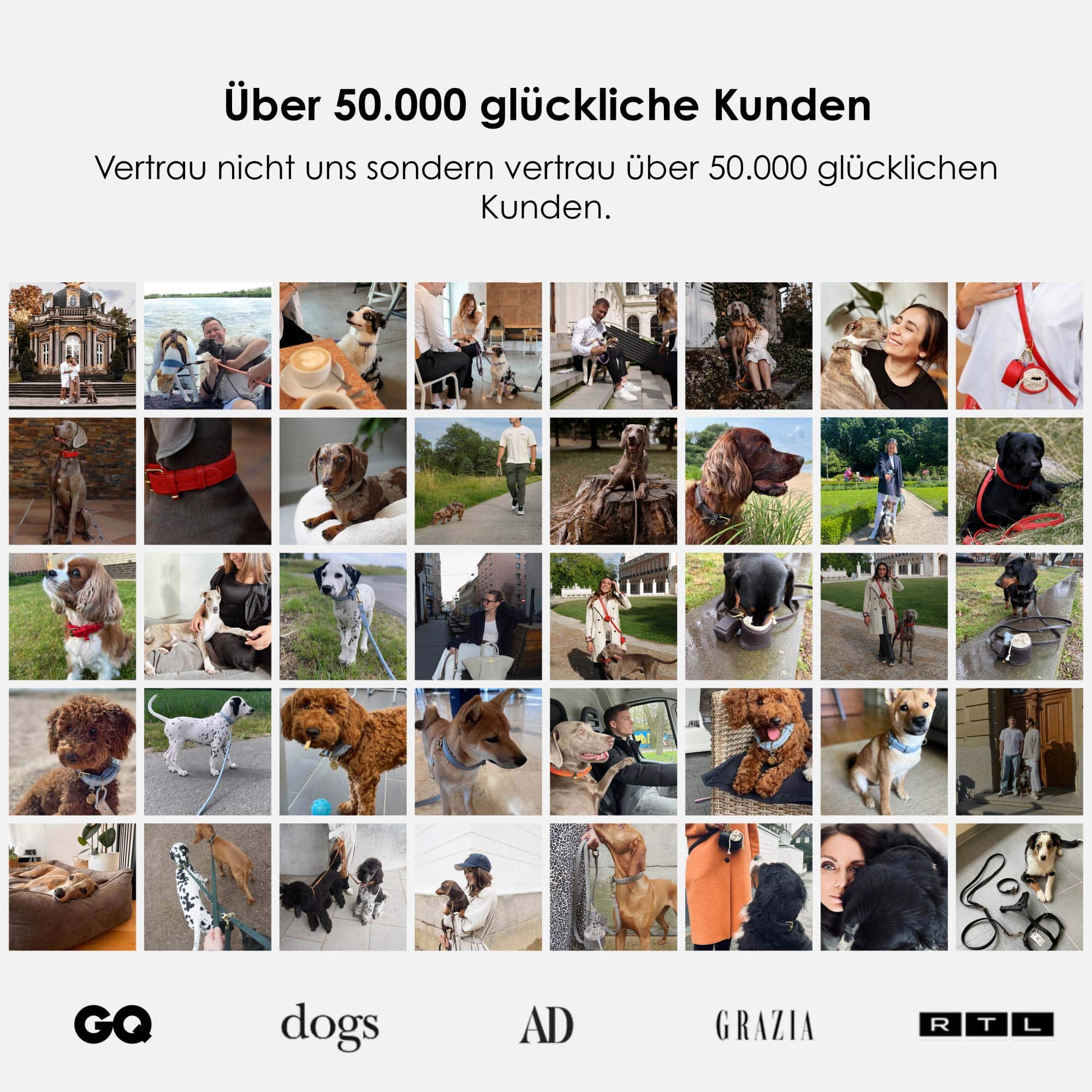 William Walker Premium Walking Set aus Leder - Sommer Angebot