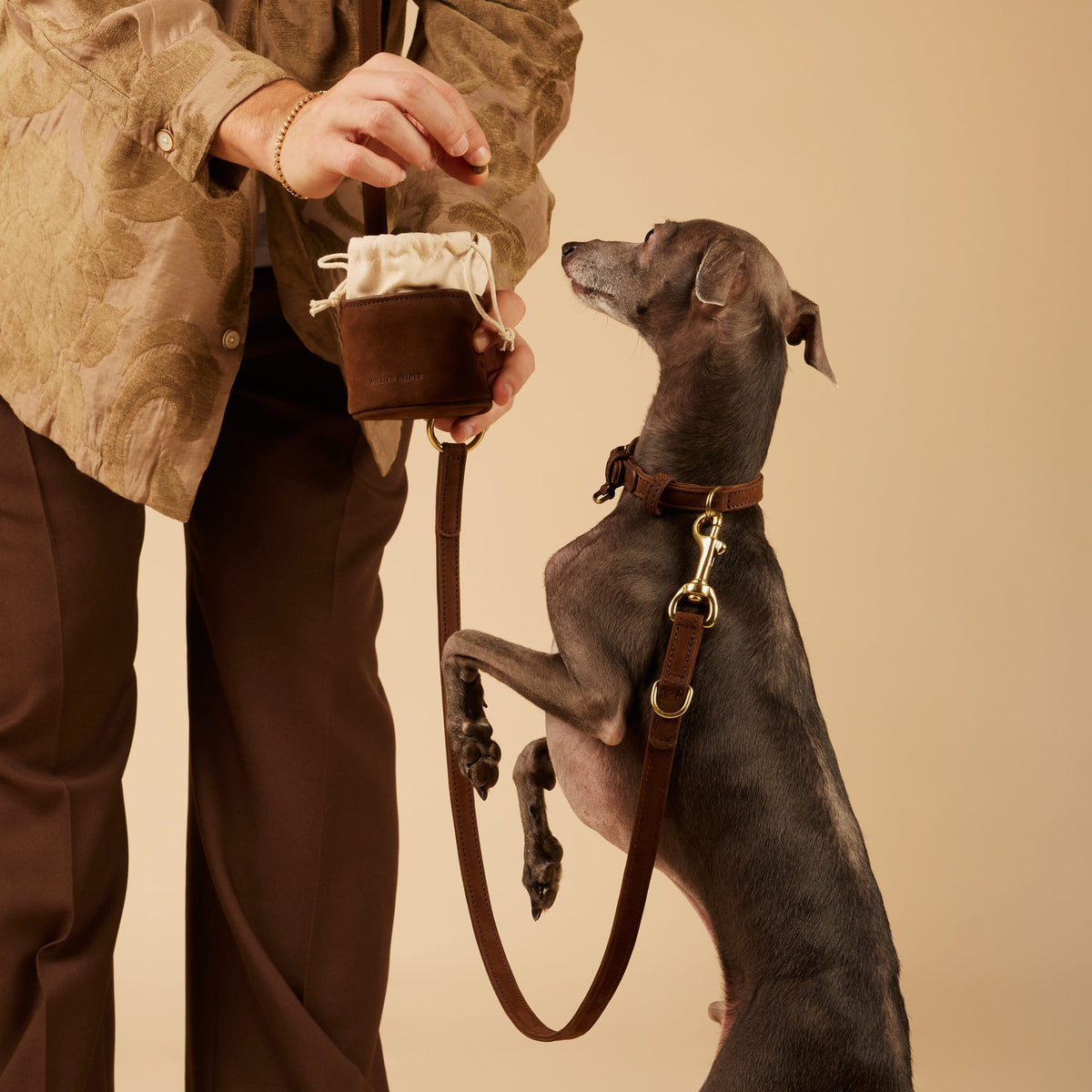 William Walker Conjunto de paseo premium en cuero nubuck resistente al agua