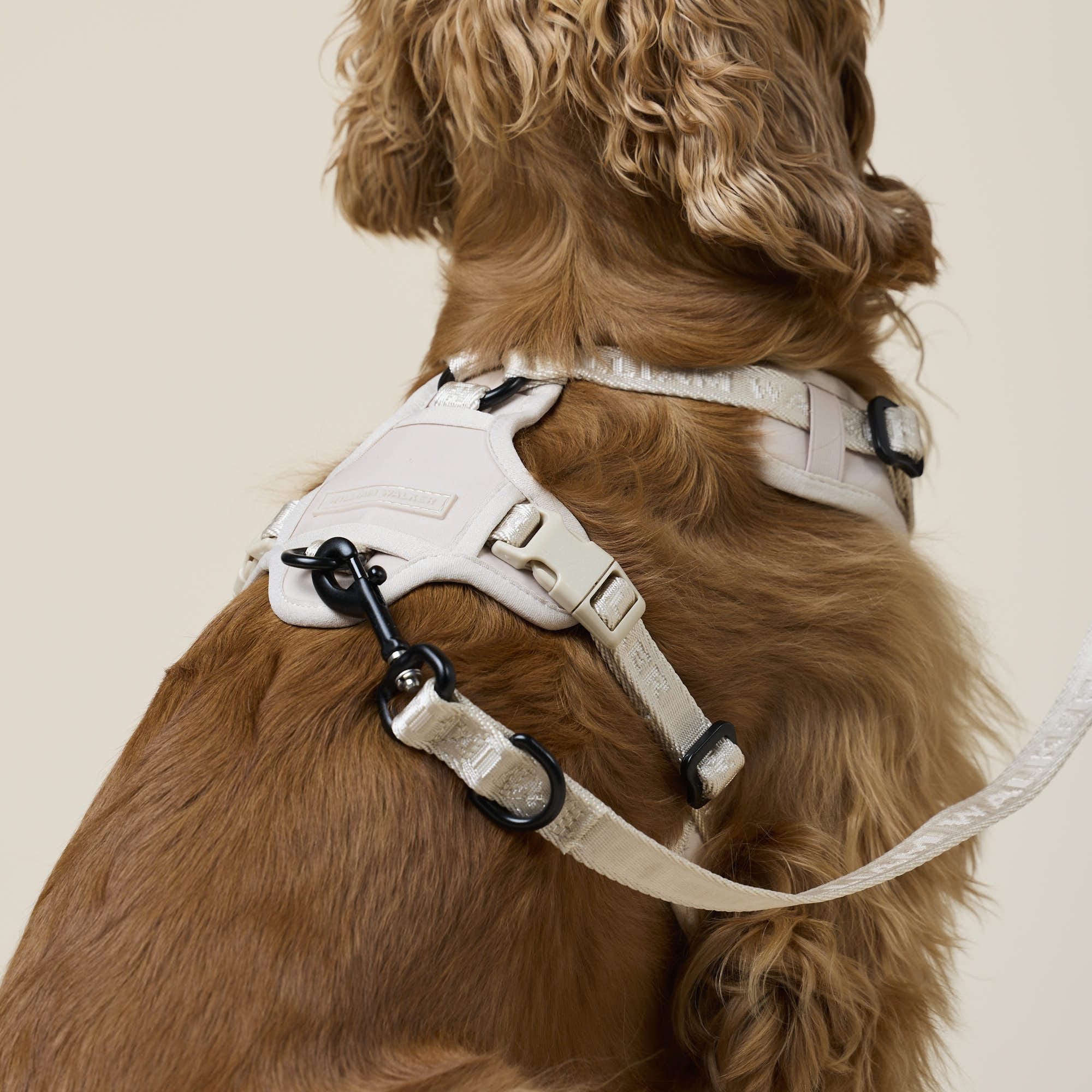 William Walker Hochwertiges Y-Hundegeschirr Sand (beige)