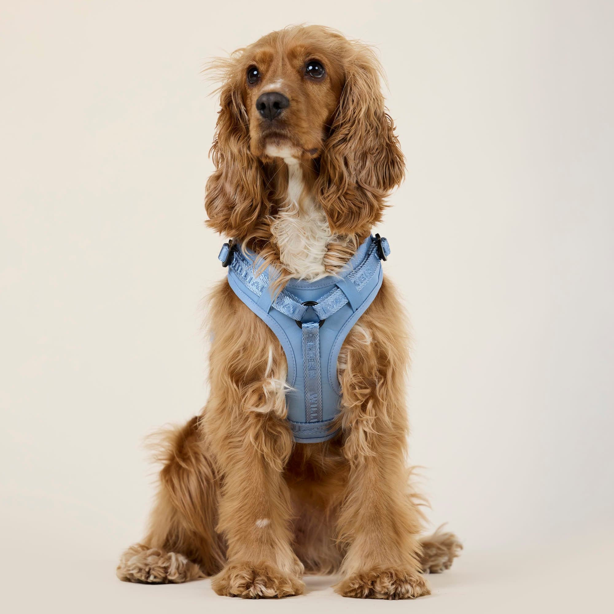 William Walker Hochwertiges Y-Hundegeschirr Sky (blau)