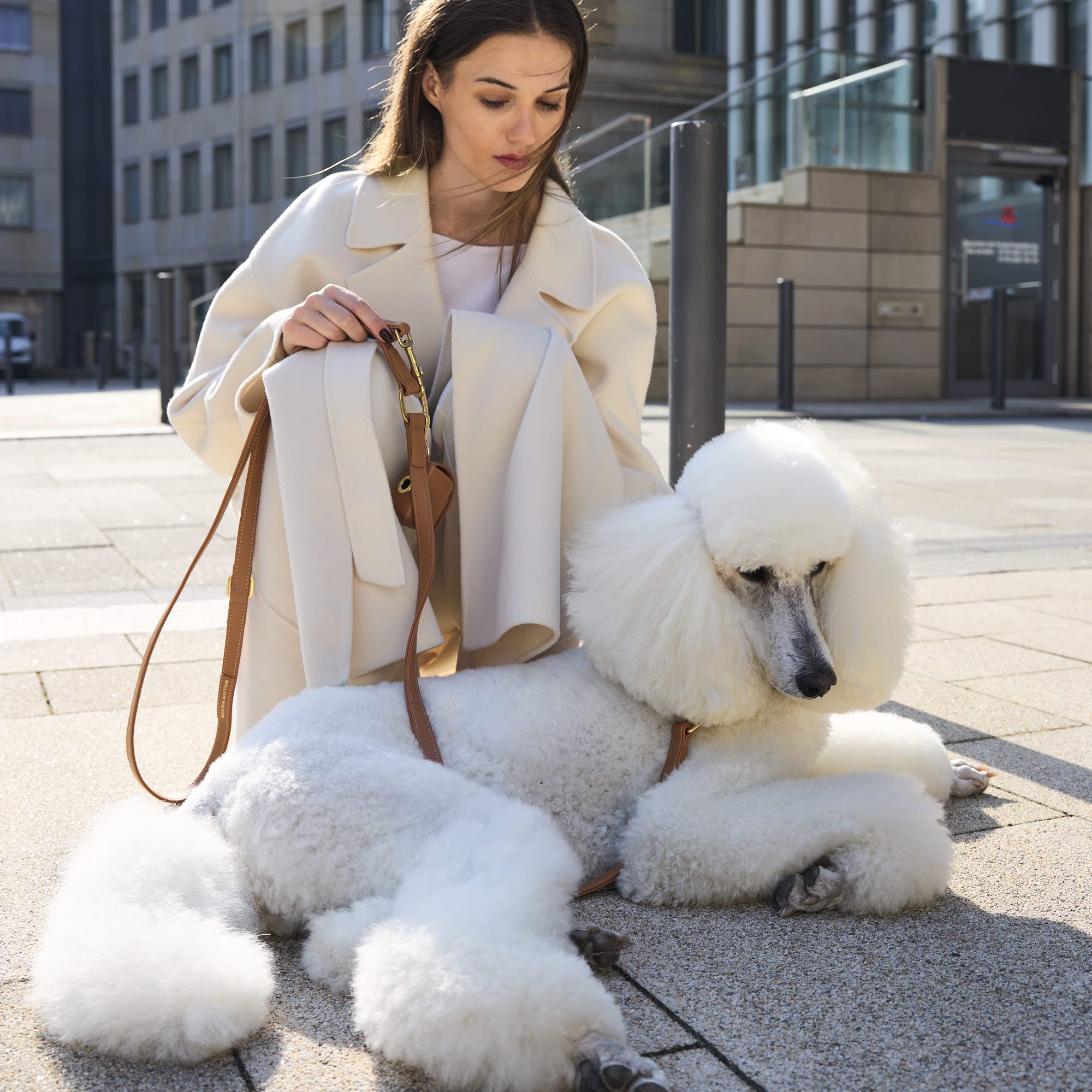 William Walker Hochwertige Glattleder Hundeleine Caramel