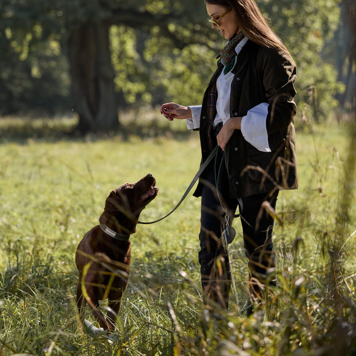 William Walker Correa de ante para perro de alta calidad Forest (verde)