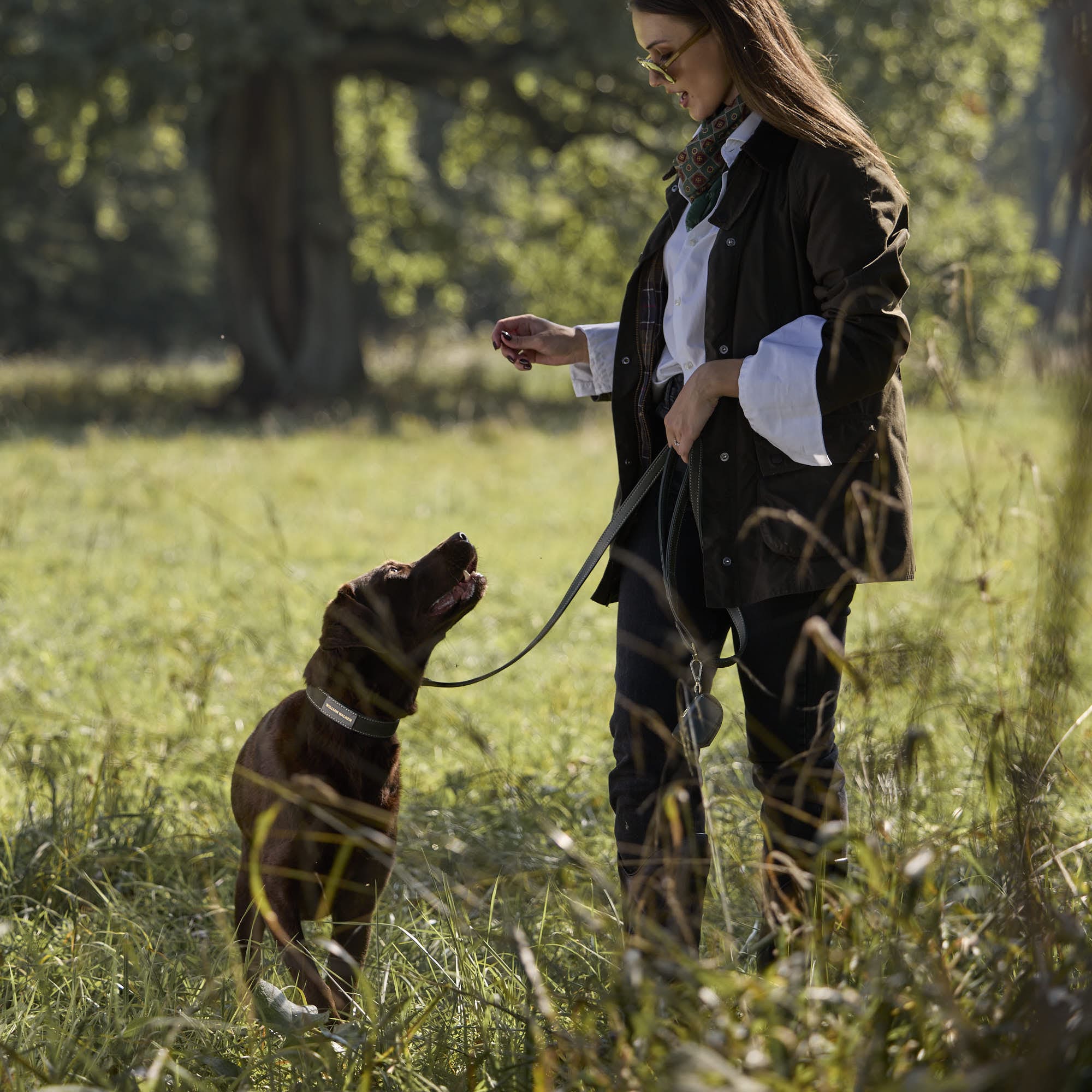 William Walker Hochwertige Wildleder Hundeleine Forest (Grün)
