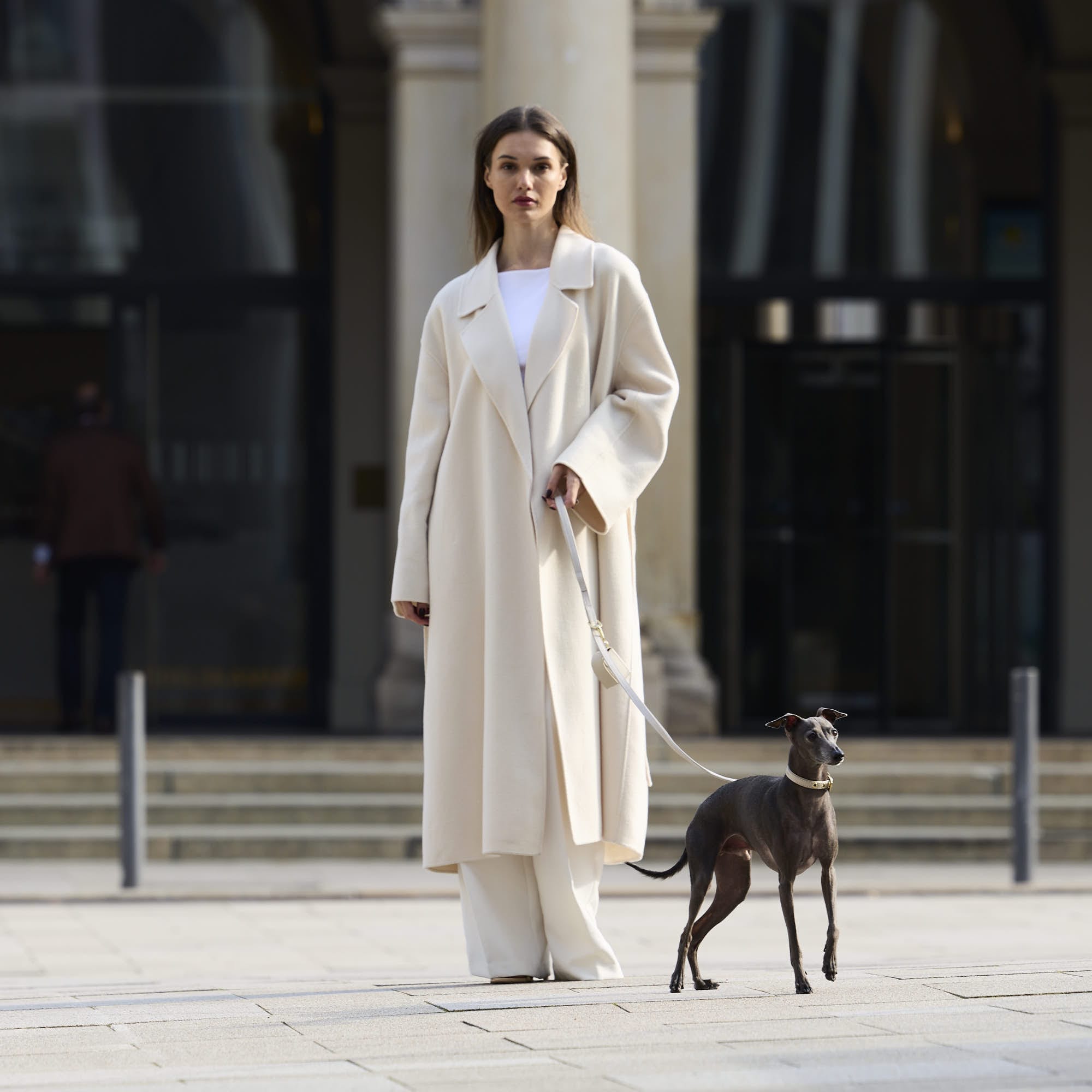 William Walker Glattleder Hundehalsband Almond