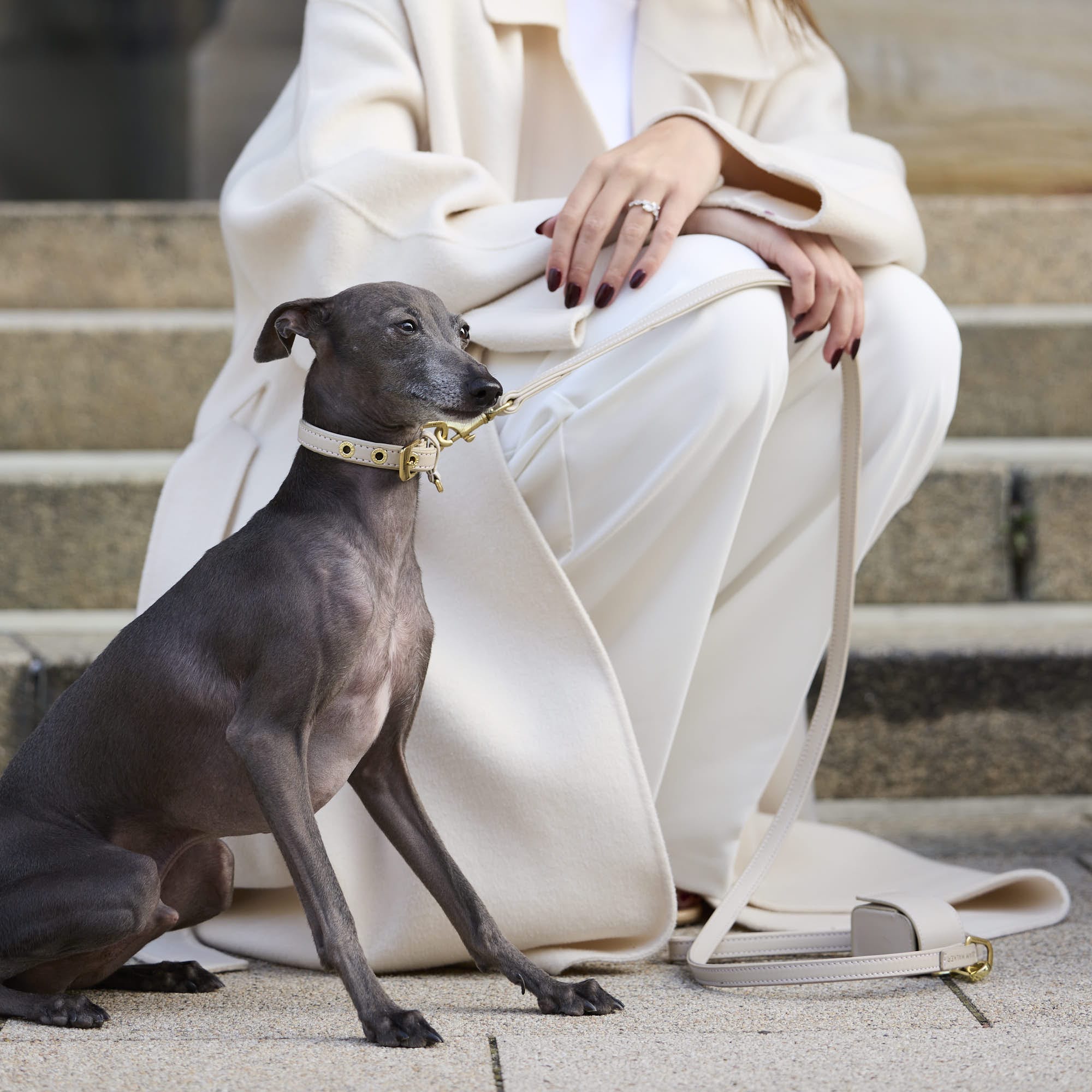 William Walker Hochwertige Glattleder Hundeleine Almond