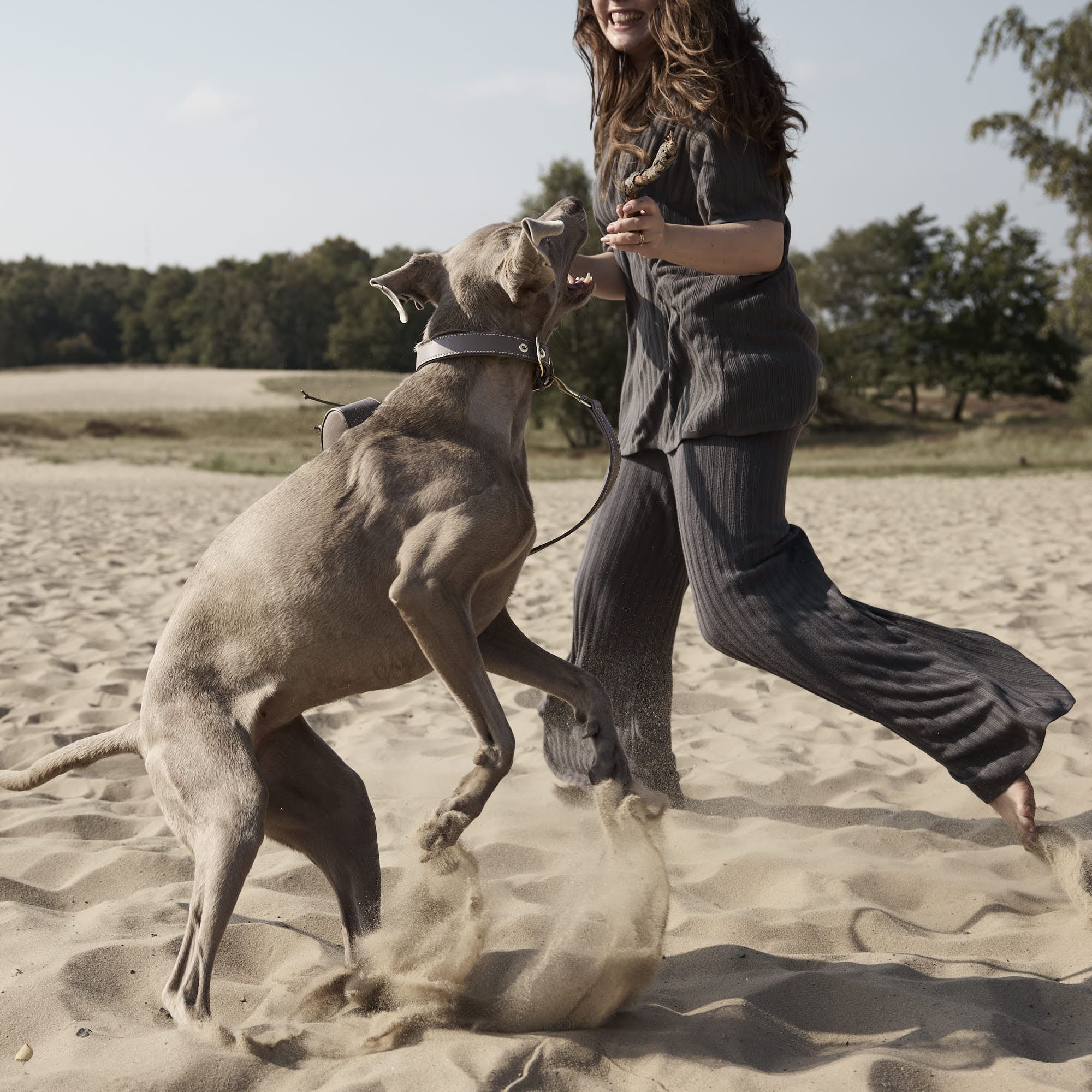 William Walker Hochwertige Glattleder Hundeleine Pebble (Taupe)