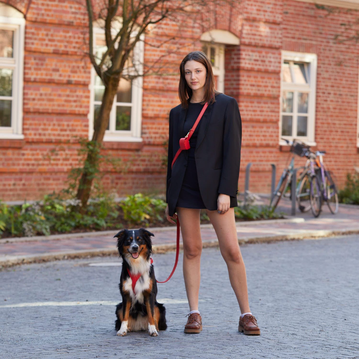 William Walker Hundeleine Chili