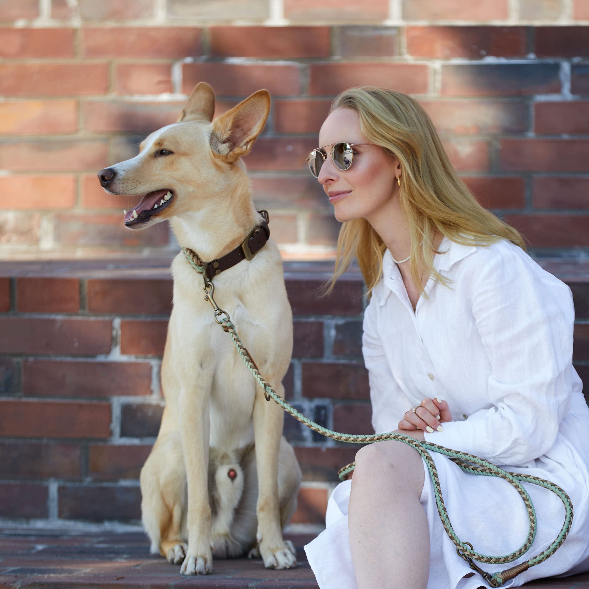 Sommerliche hochwertige Paracord- und Biothane-Hundeleine und Hundehalsband in Braun, Beige und pastellgrün - Verstellbar, robust und ideal für kleine und große Hunde.