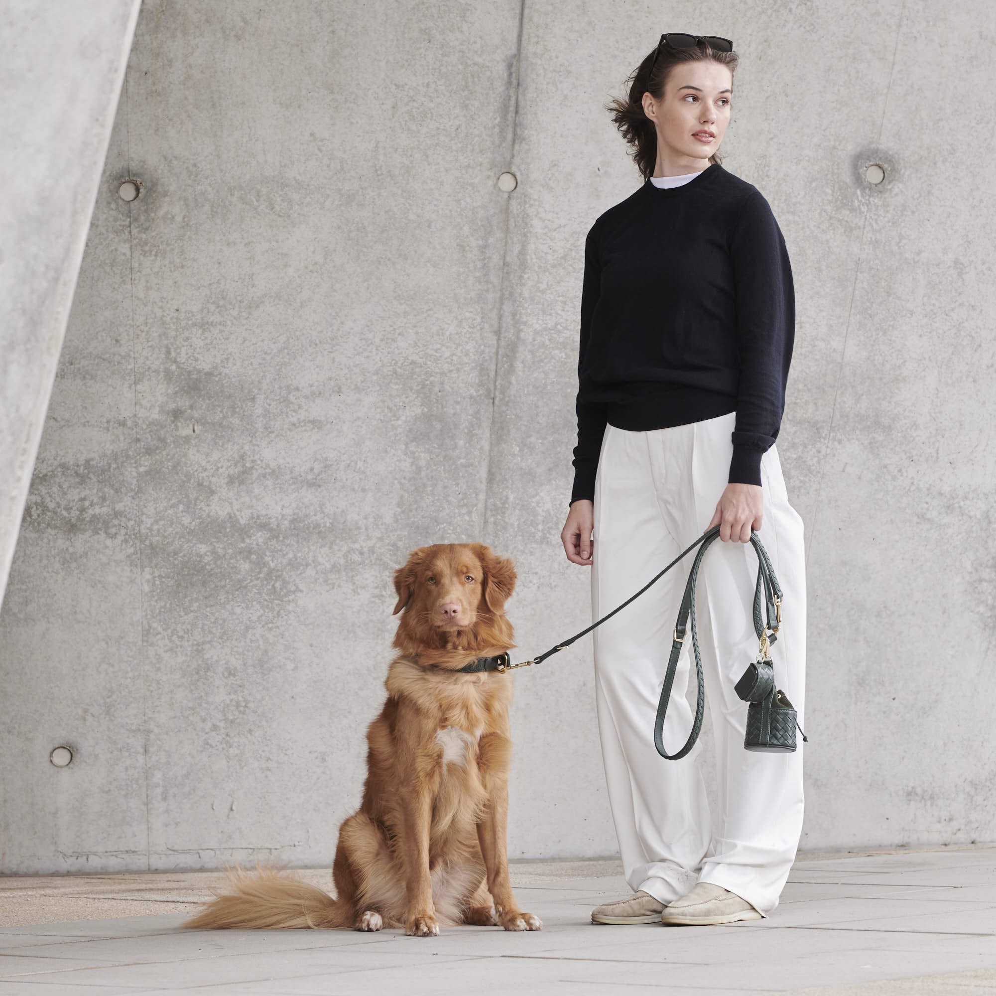 William Walker Hochwertige Leder Hundeleine Prestige Forest (Waldgrün)