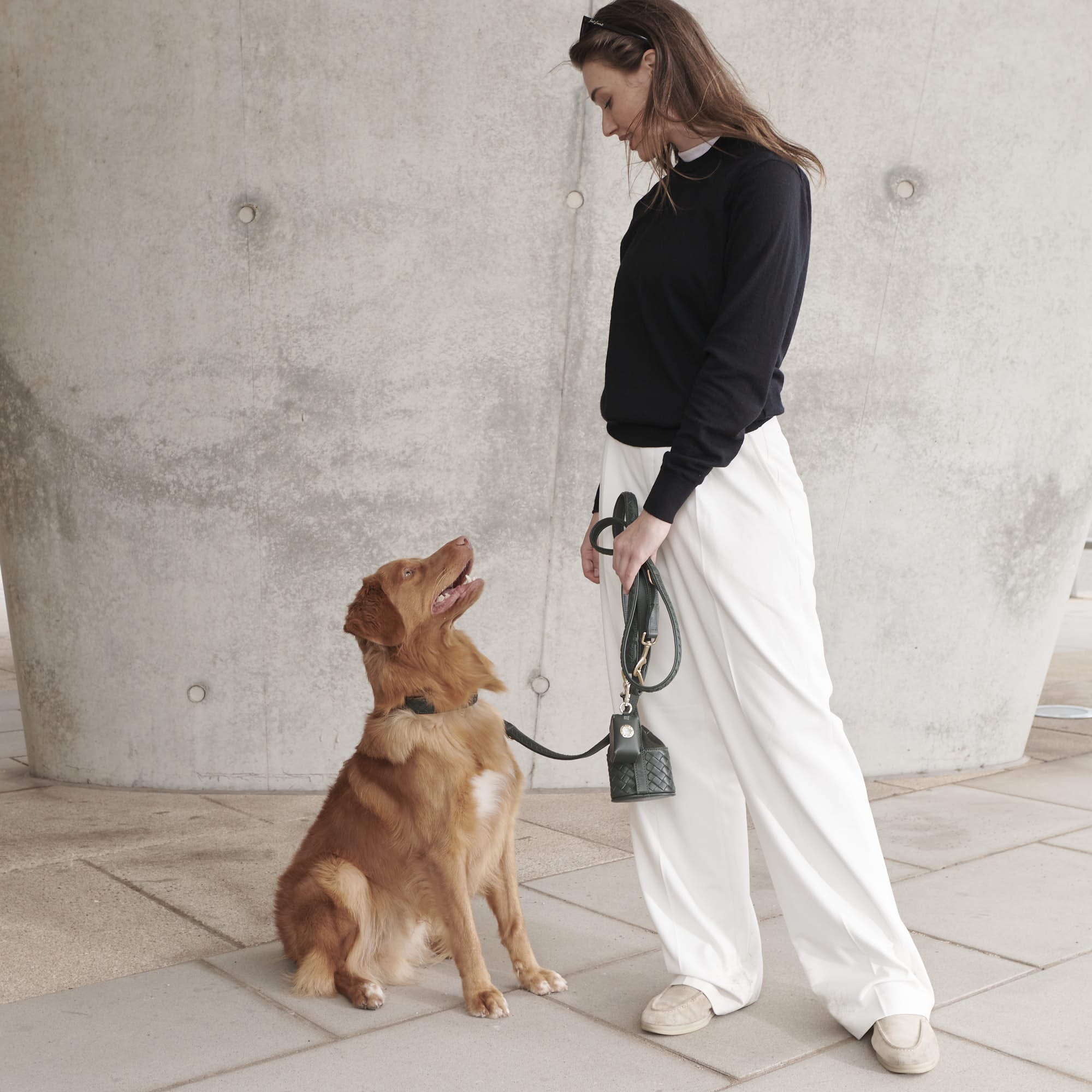 William Walker Hochwertige Leder Hundeleine Prestige Forest (Waldgrün)