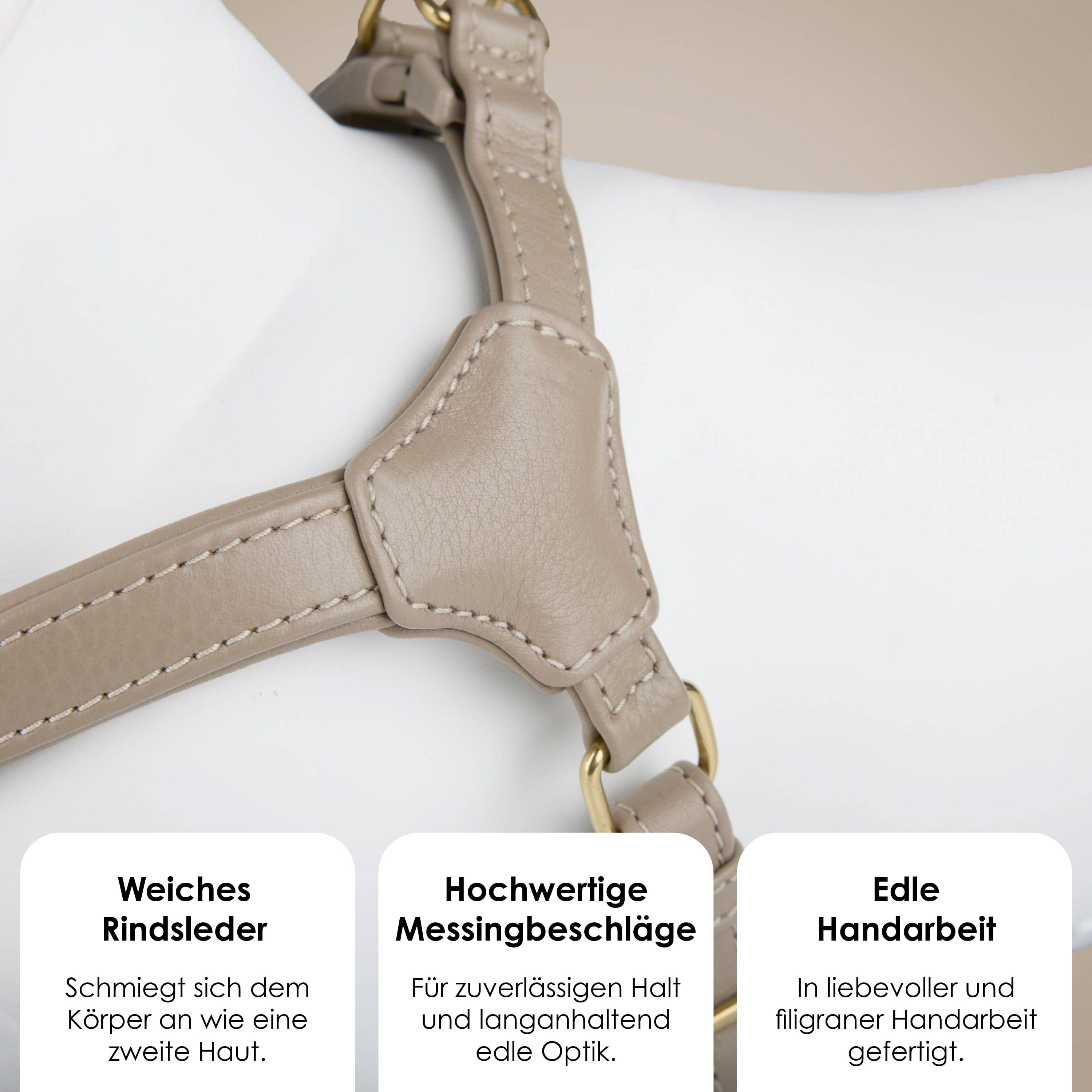 William Walker Step-In Leder Geschirr Pico für kleine Hunde