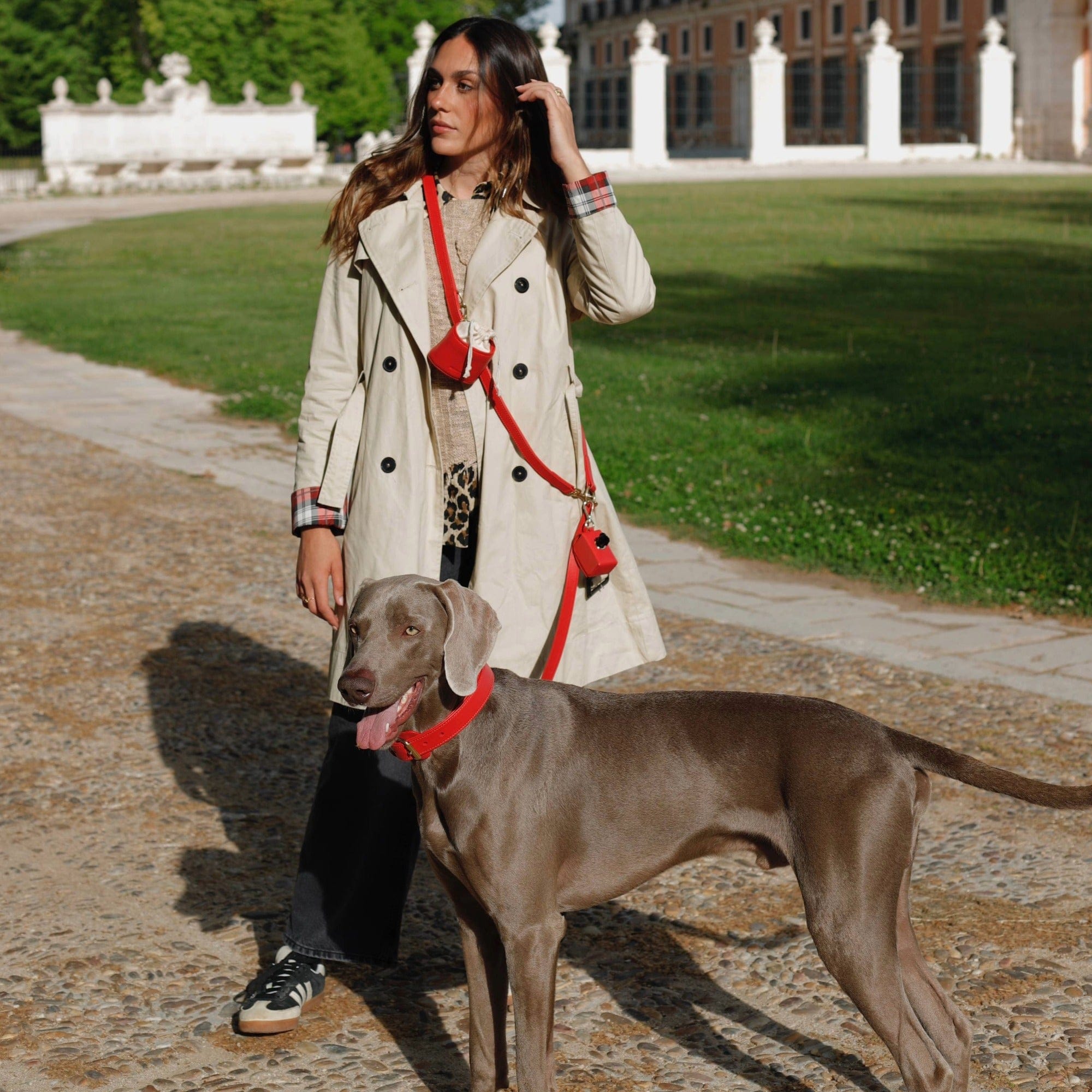 William Walker Leder Hundehalsband Chili (Rot)