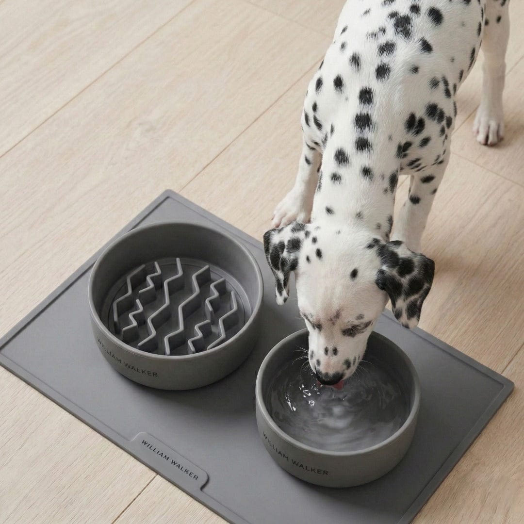 William Walker Keramik-Hundenapf Sea Salt (grau)