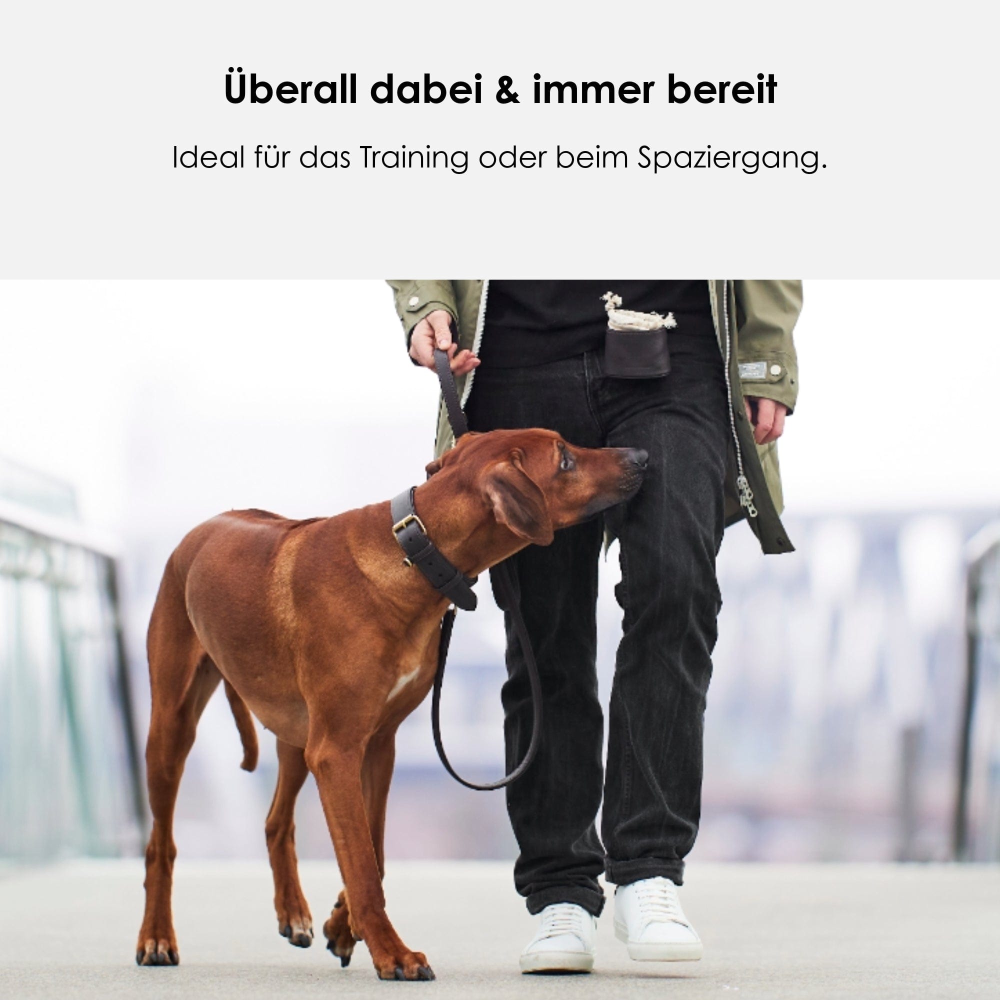 William Walker Leckerlibeutel Dark Moss (Waldgrün)