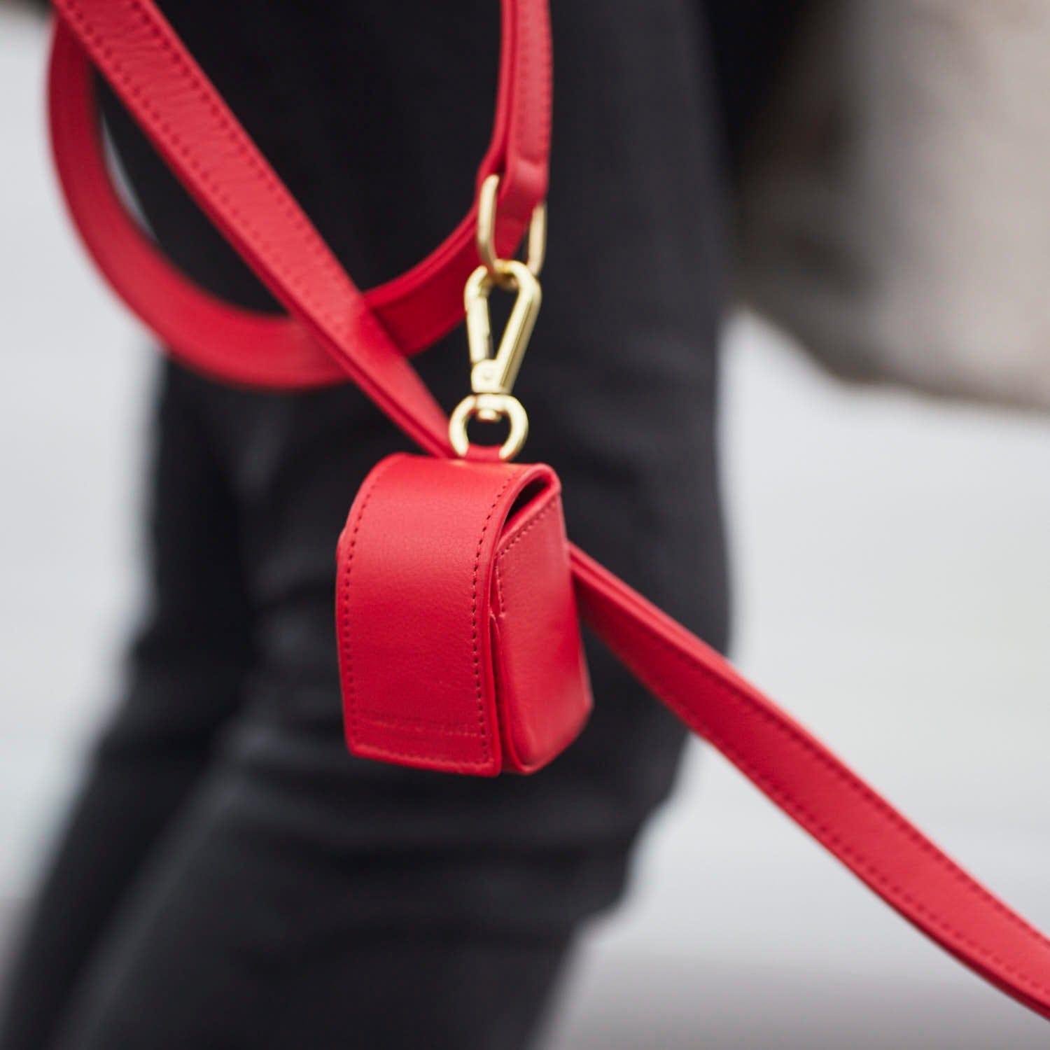 William Walker Hundeleine Chilli