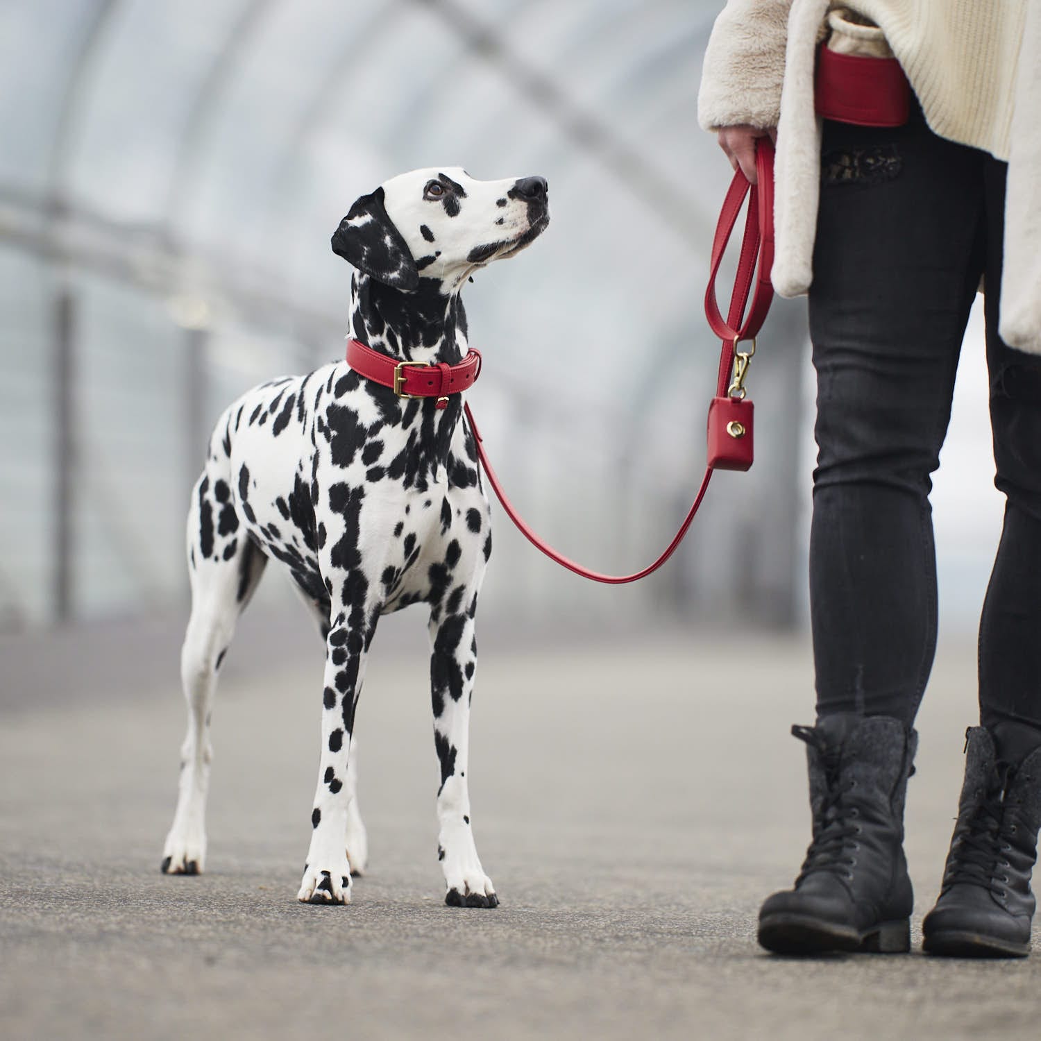 William Walker langify_image_container