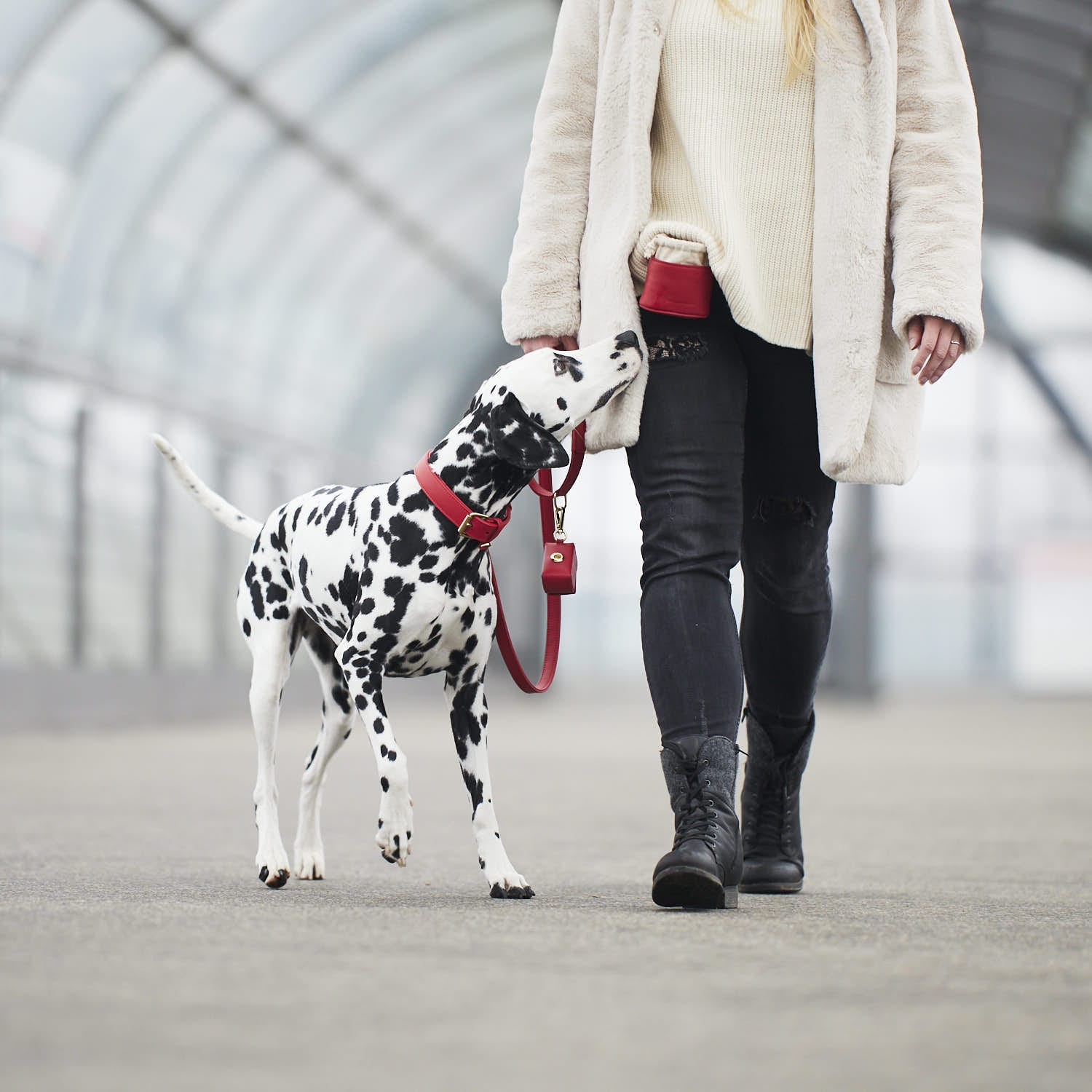 William Walker Leckerlibeutel Chili