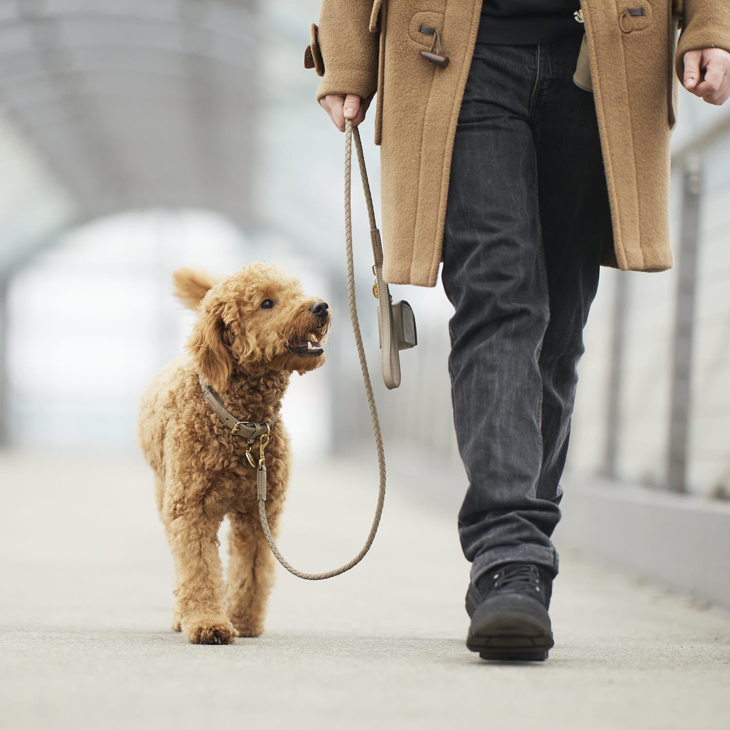 William Walker Hundeleine Twisted Sand