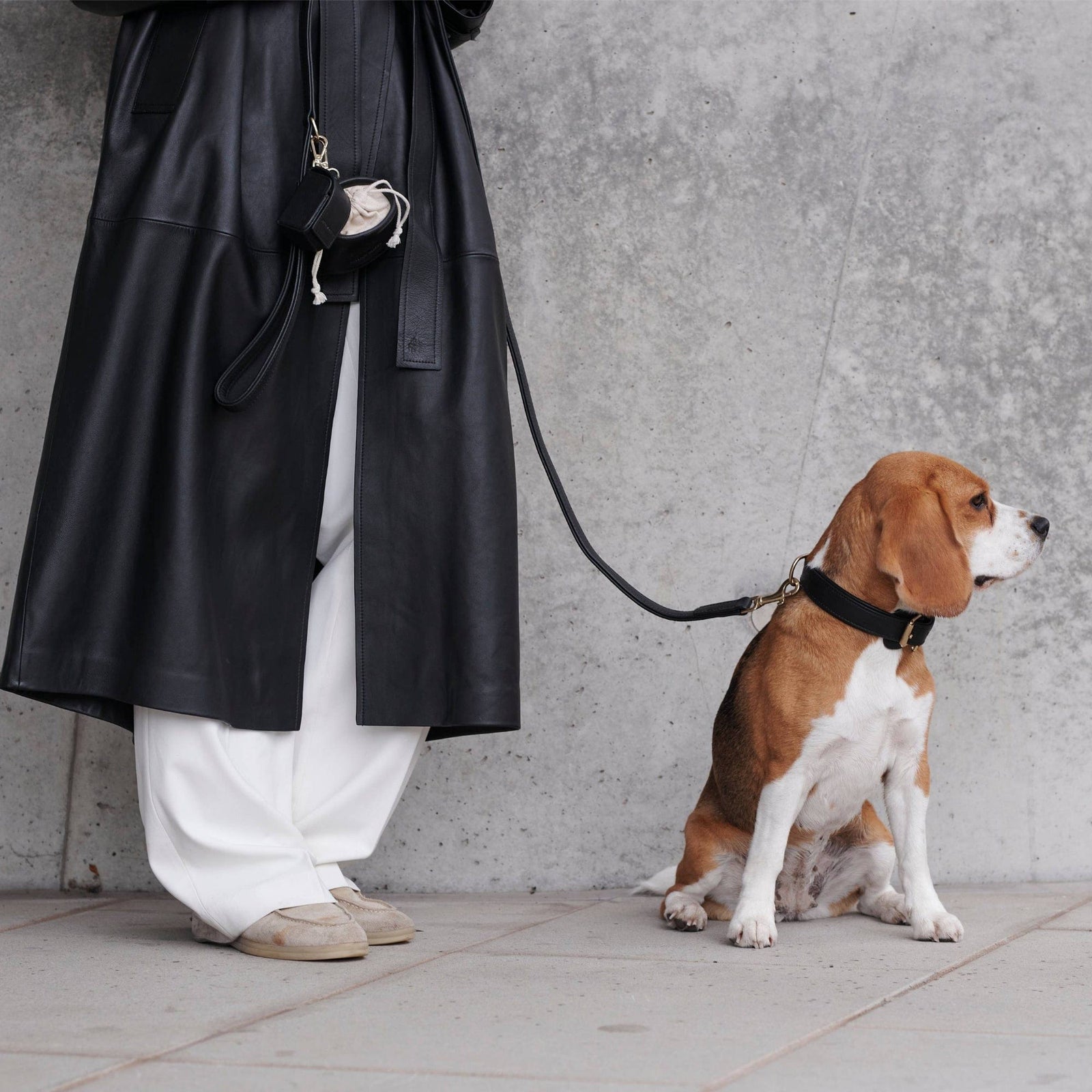 William Walker Hochwertige Leder Hundeleine Noir (Schwarz)