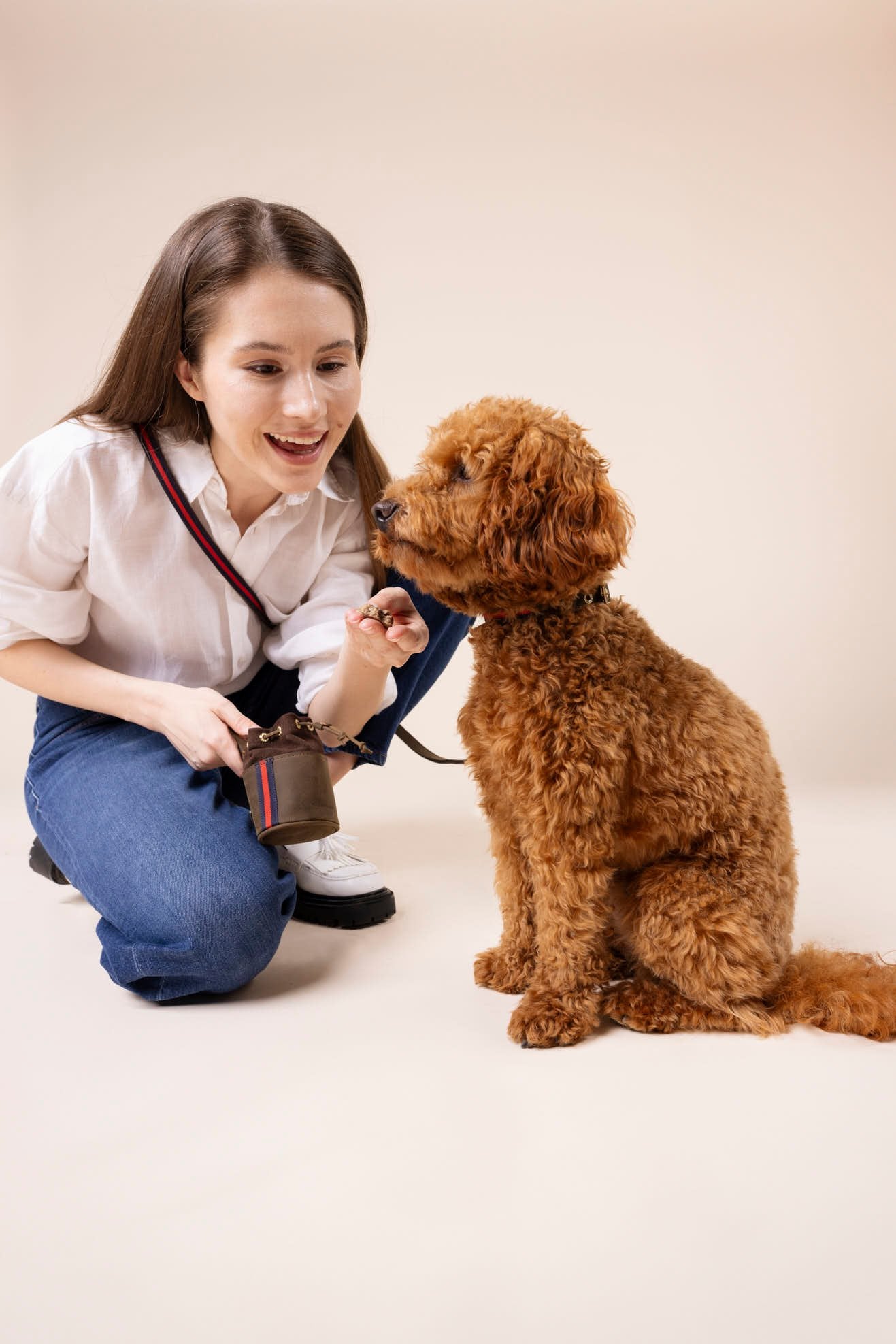 Poodle trägt ein Charles Lederhalsband in braun, blau und rot, eine Frau daneben trägt eine Hundeleine und einen Leckerlibeutel aus Leder in braun, rot und blau