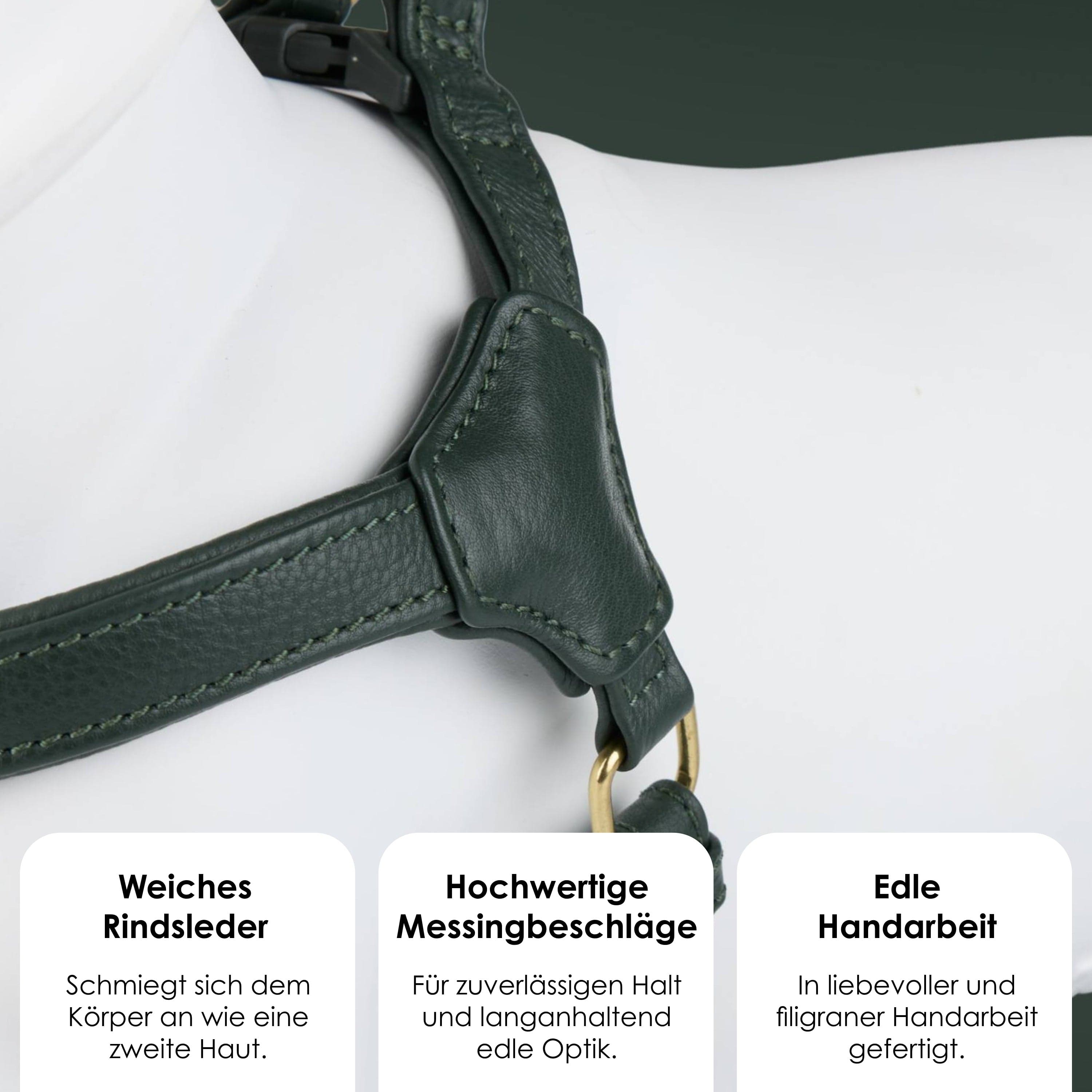 William Walker Step-In Leder Geschirr Pico für kleine Hunde