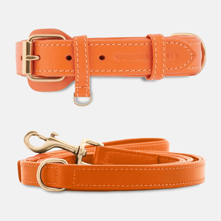 William Walker Starter Set Amber