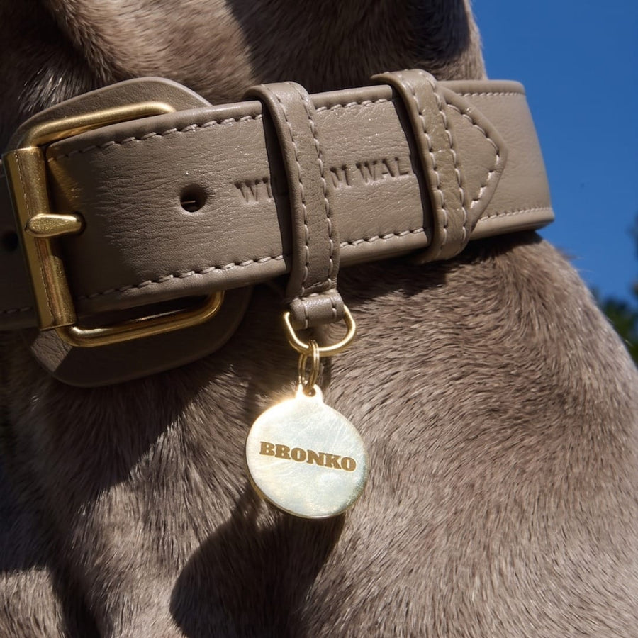 Personalized Round Brass Dog Tag