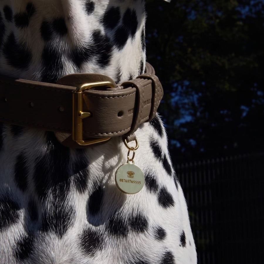 Personalized Round Brass Dog Tag