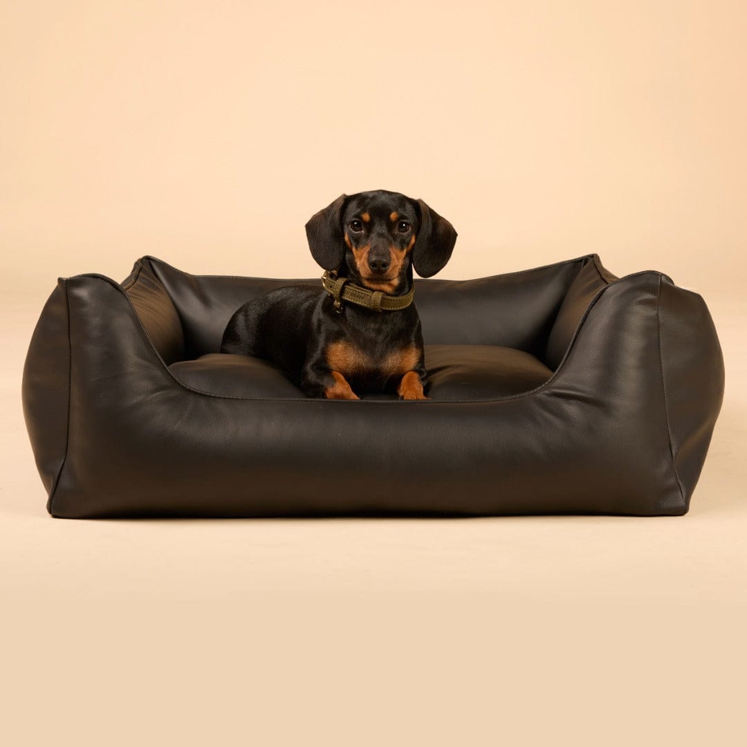 William Walker Cama para perros ortopédica Easy Midnight / S / Kissen (Flocken)