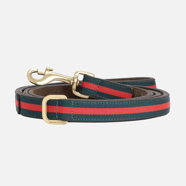 Correa para perros de cuero vacuno de alta calidad Florence // Limited