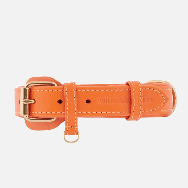 Collar para perros de cuero Amber (Naranja)