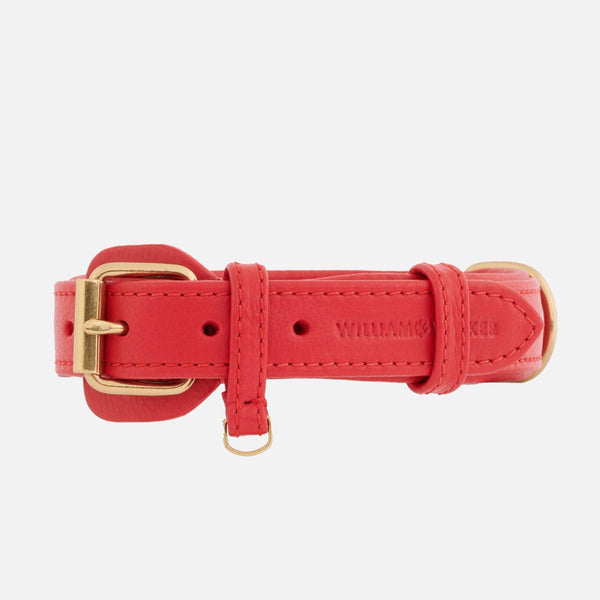 Collar para perros de cuero Chili (Rojo)