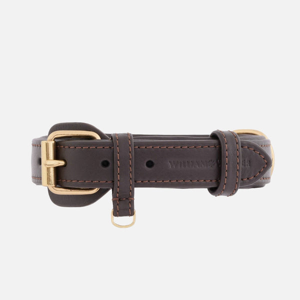 Collar para perros de cuero Earth (Marrón)